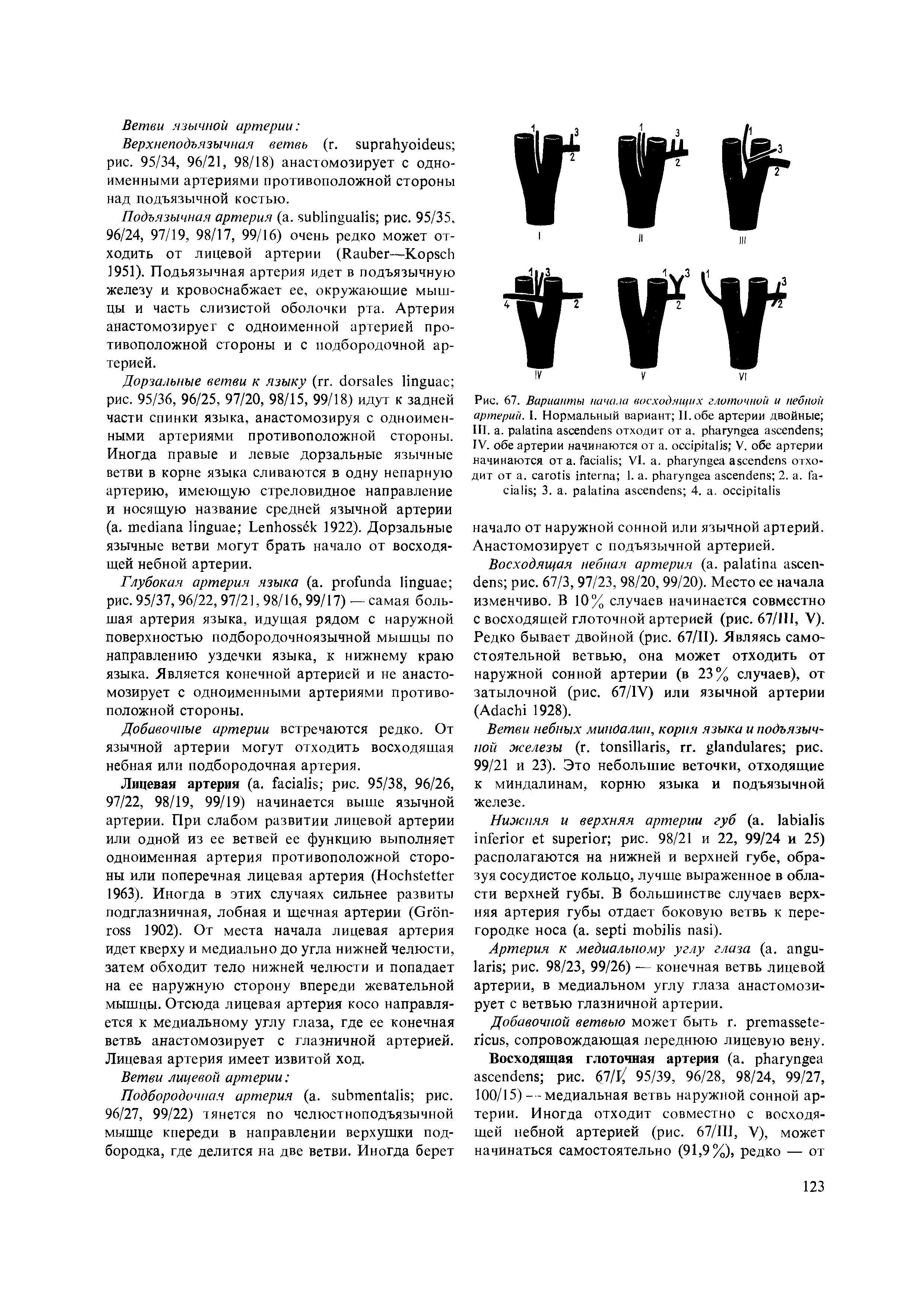 Рис. 67. Варианты начала восходящих глоточной и небной артерий. I. Нормальный вариант II. обе артерии двойные ...