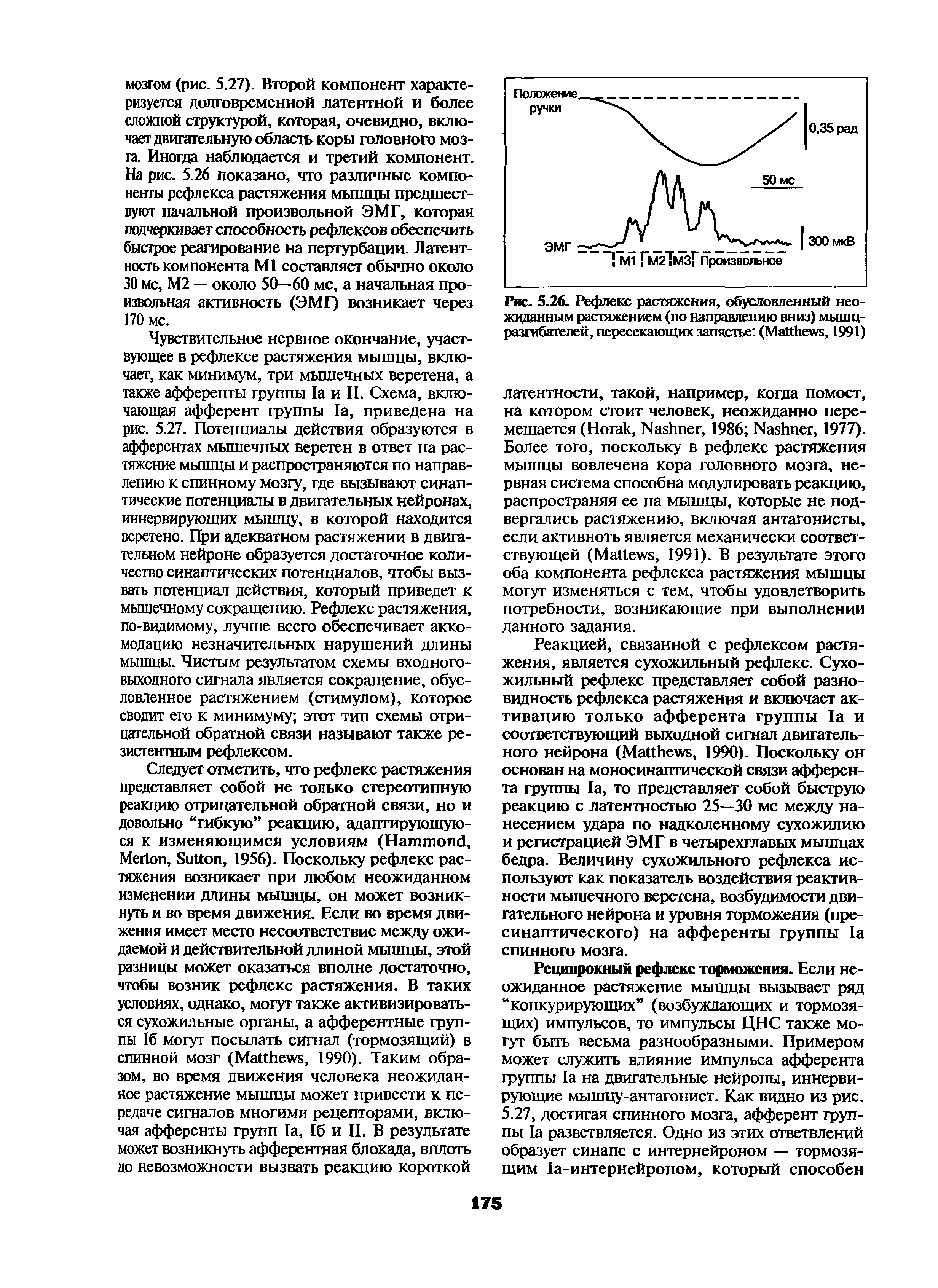 Рис. 5.26. Рефлекс растяжения, обусловленный неожиданным растяжением (по направлению вниз) мышц-разгибателей, пересекающих запястье (M , 1991)...