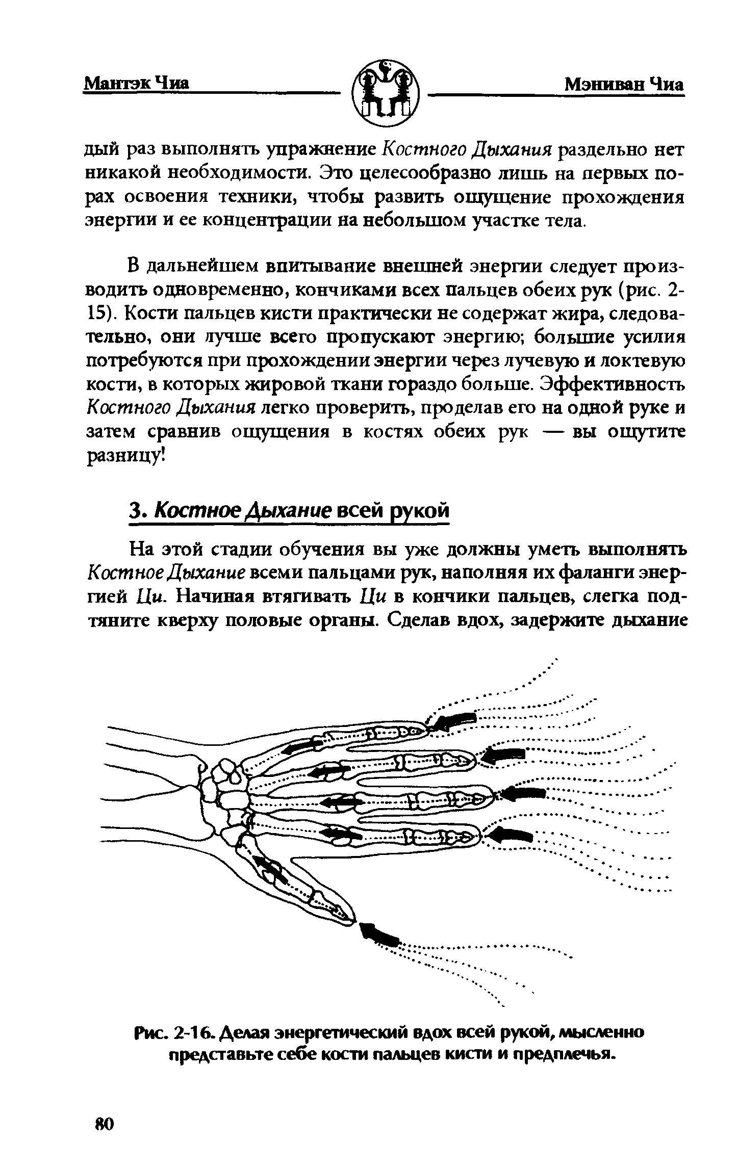 Рис. 2-16. Делая энергетический вдох всей рукой, мысленно представьте себе кости пальцев кисти и предплечья.