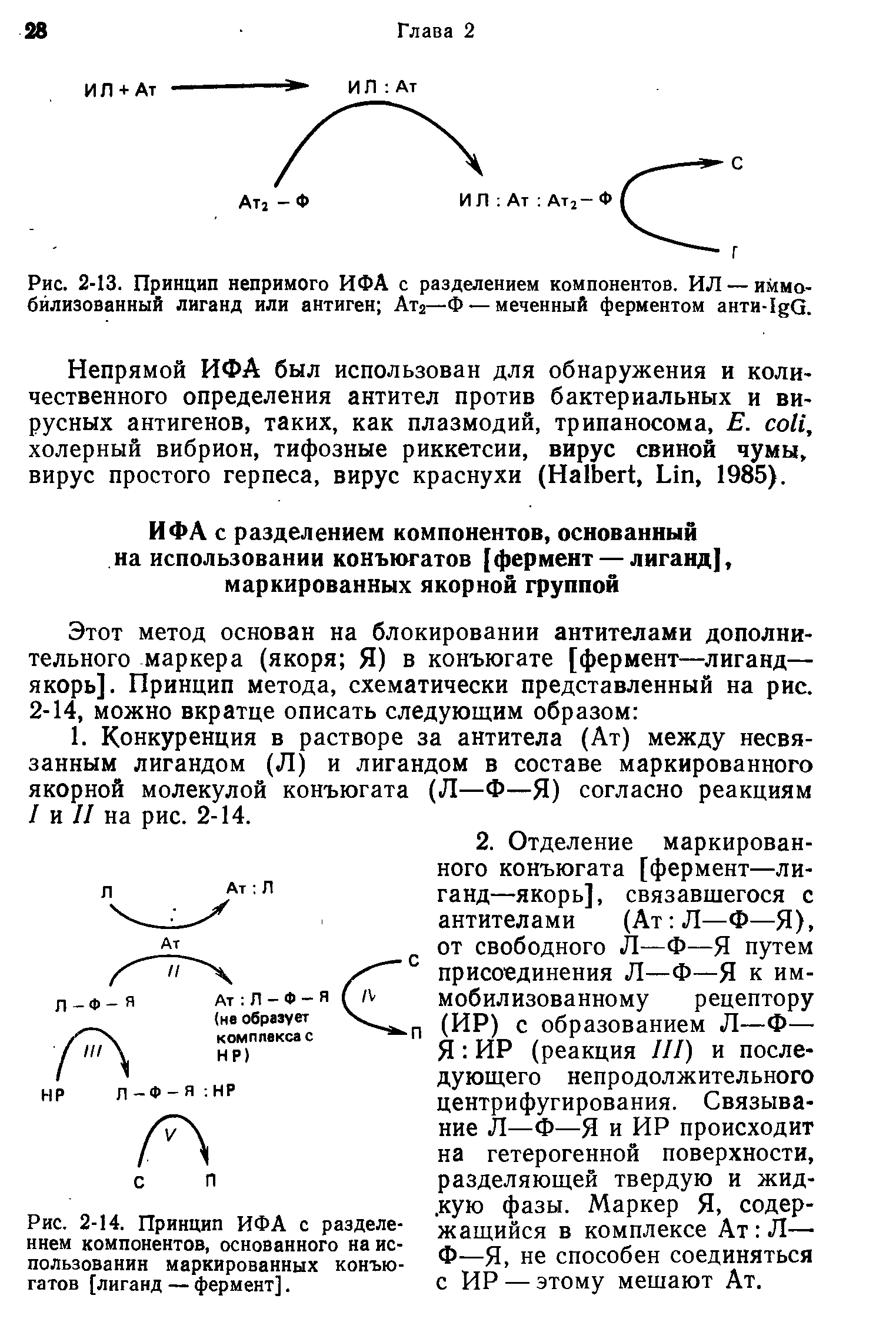 Рис. 2-14. Принцип ИФА с разделением компонентов, основанного на использовании маркированных конъюгатов [лиганд — фермент].