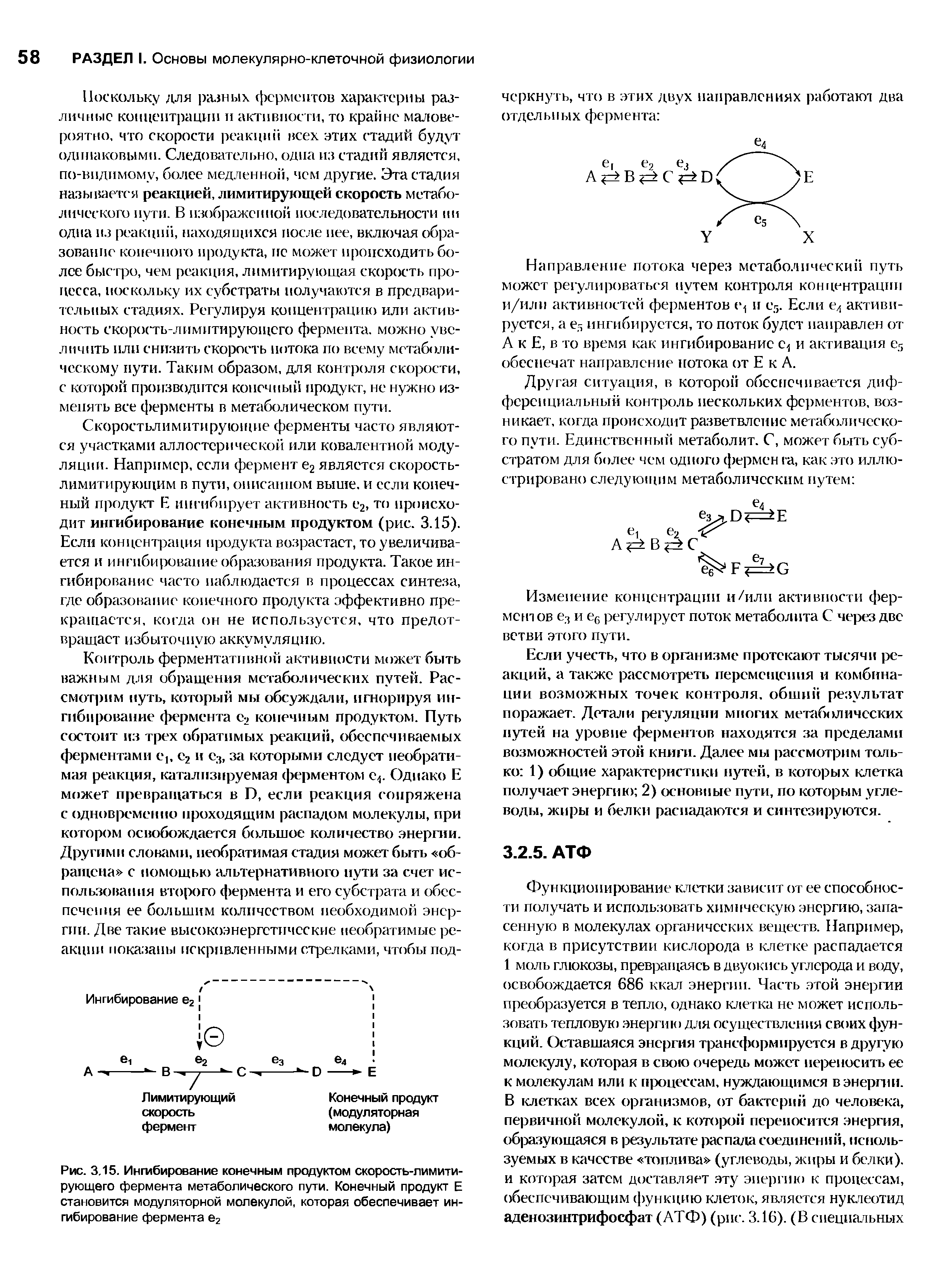 Рис. 3.15. Ингибирование конечным продуктом скорость-лимити-рующего фермента метаболического пути. Конечный продукт Е становится модуляторной молекулой, которая обеспечивает ингибирование фермента е2...