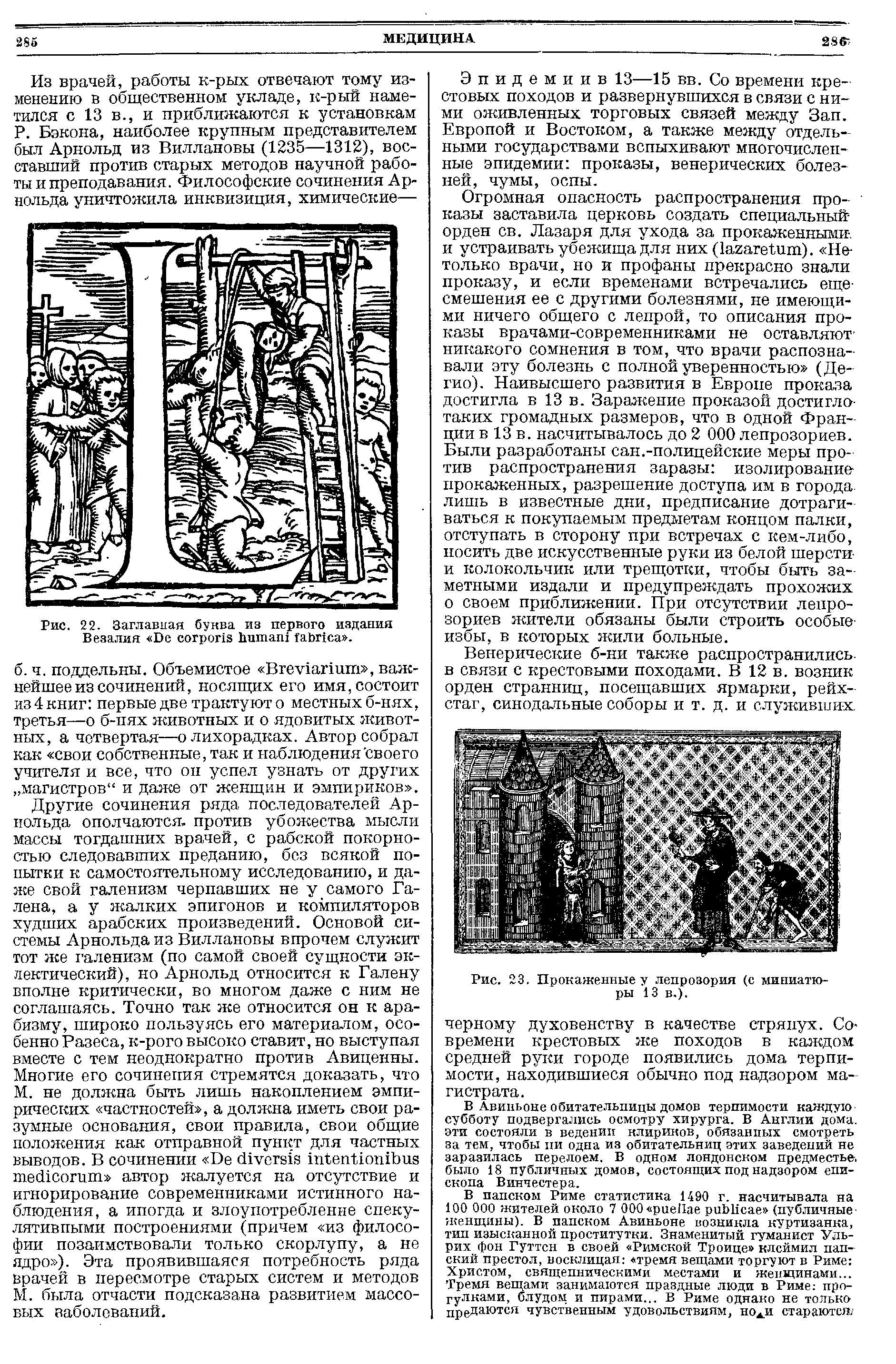 Рис. 22. Заглавная буква из первого издания Везалия D .