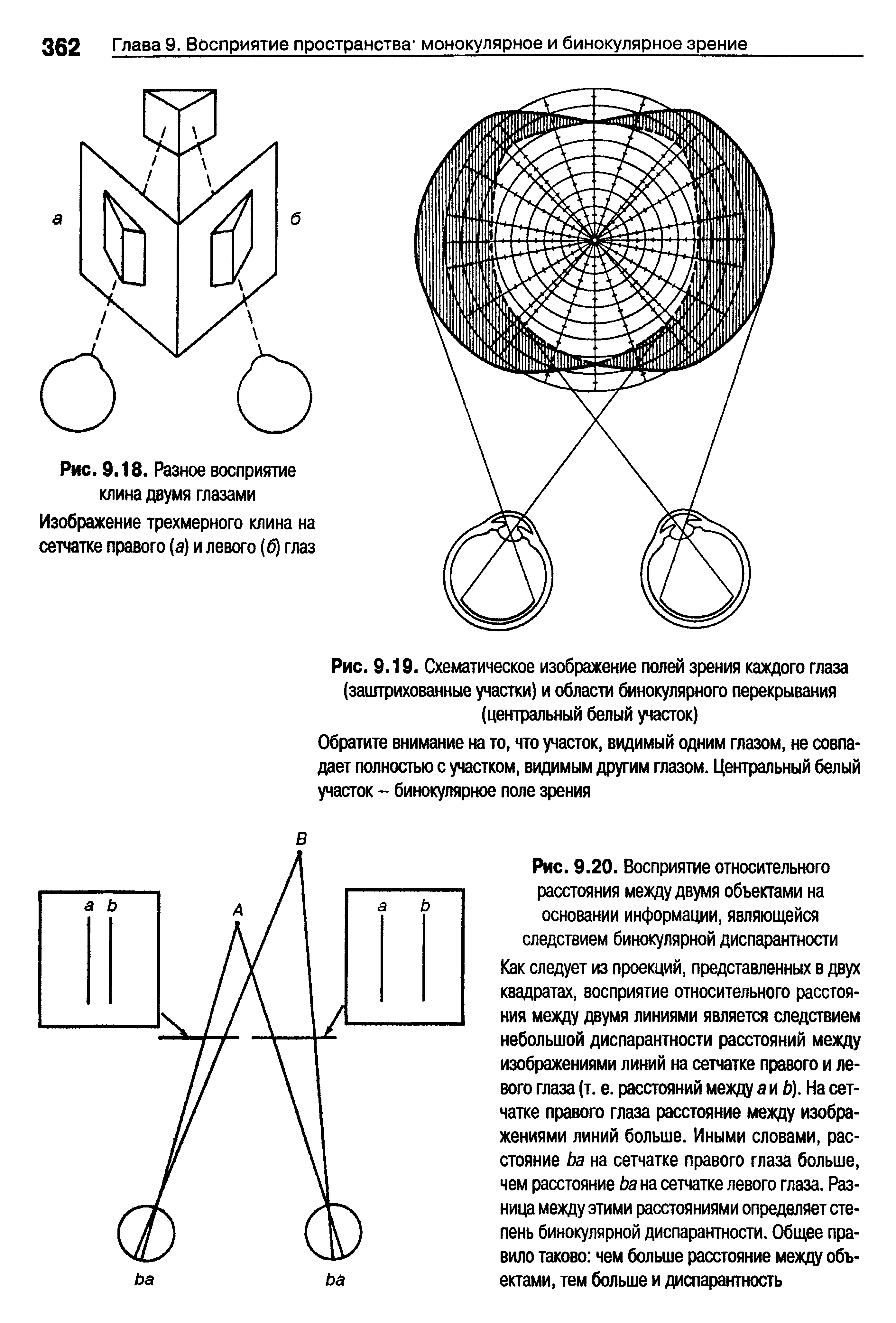 Рис. 9.19. Схематическое изображение полей зрения каждого глаза (заштрихованные участки) и области бинокулярного перекрывания (центральный белый участок)...