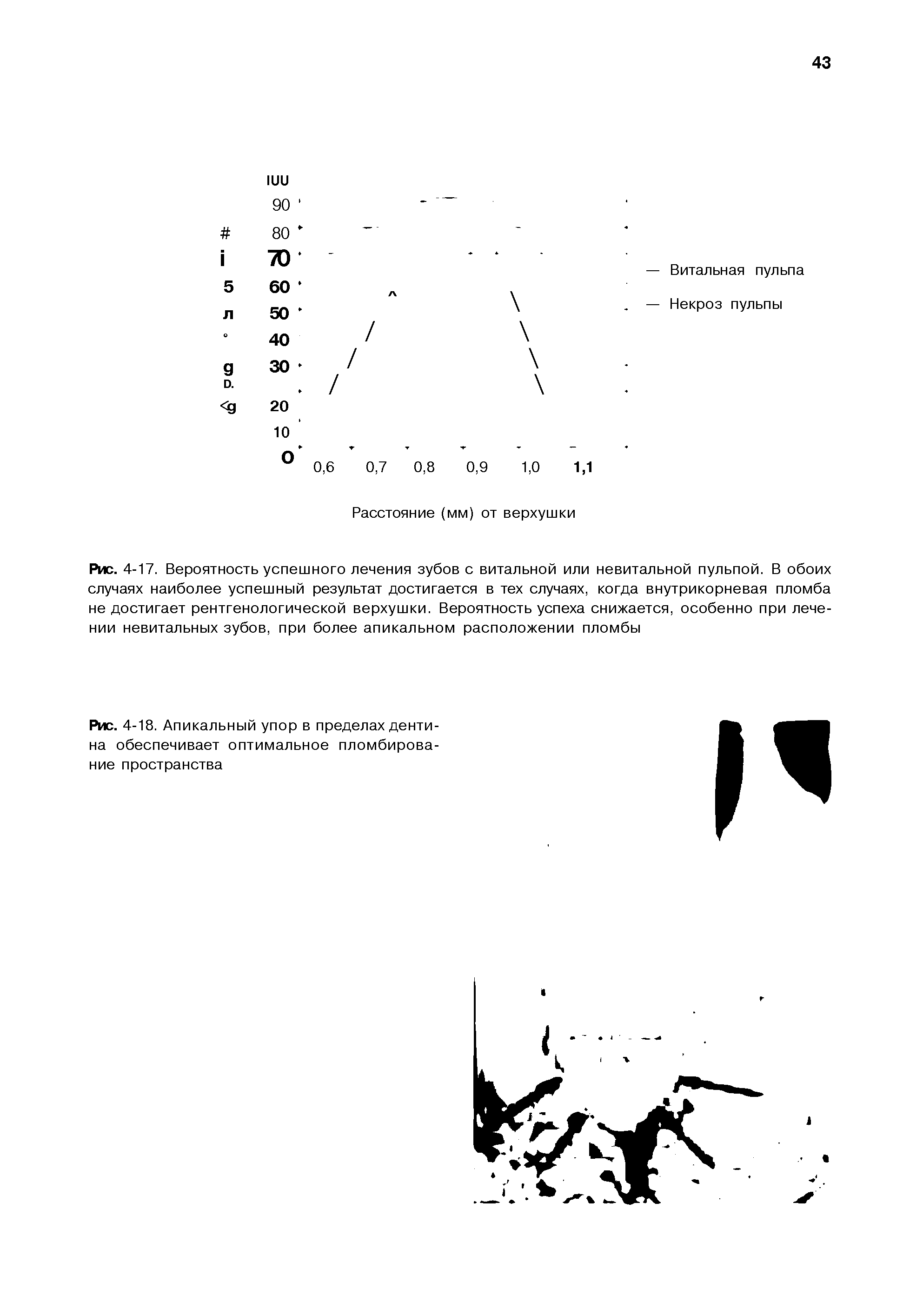 Рис. 4-17. Вероятность успешного лечения зубов с витальной или невитальной пульпой. В обоих случаях наиболее успешный результат достигается в тех случаях, когда внутрикорневая пломба не достигает рентгенологической верхушки. Вероятность успеха снижается, особенно при лечении невитальных зубов, при более апикальном расположении пломбы...