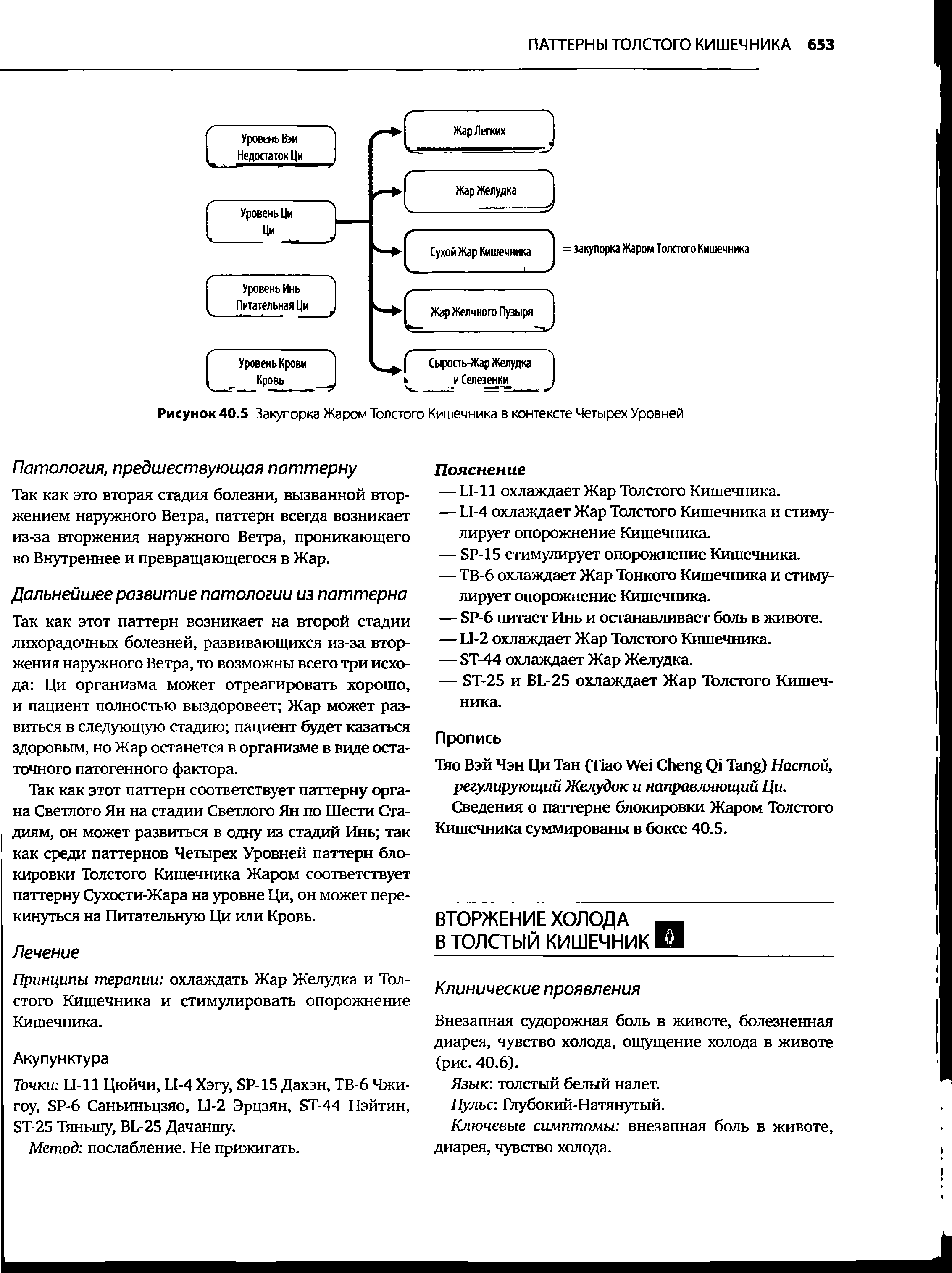 Рисунок 40.5 Закупорка Жаром Толстого Кишечника в контексте Четырех Уровней...