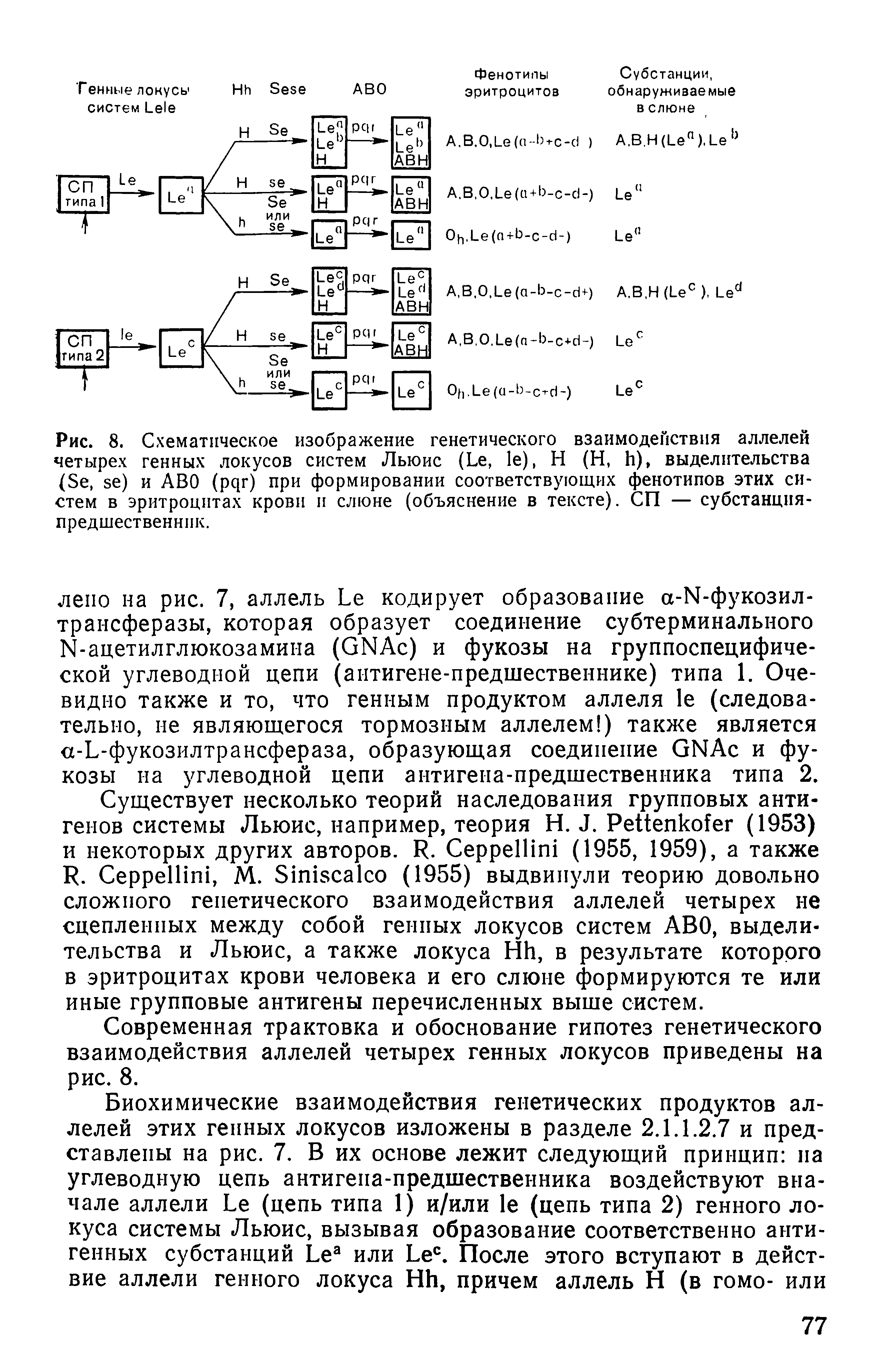 Рис. 8. Схематическое изображение генетического взаимодействия аллелей четырех генных локусов систем Льюис (Ье, 1е), Н (Н, Ь), выделительства (Бе, эе) и АВО (рцг) при формировании соответствующих фенотипов этих систем в эритроцитах крови и слюне (объяснение в тексте). СП — субстанция-предшественник.