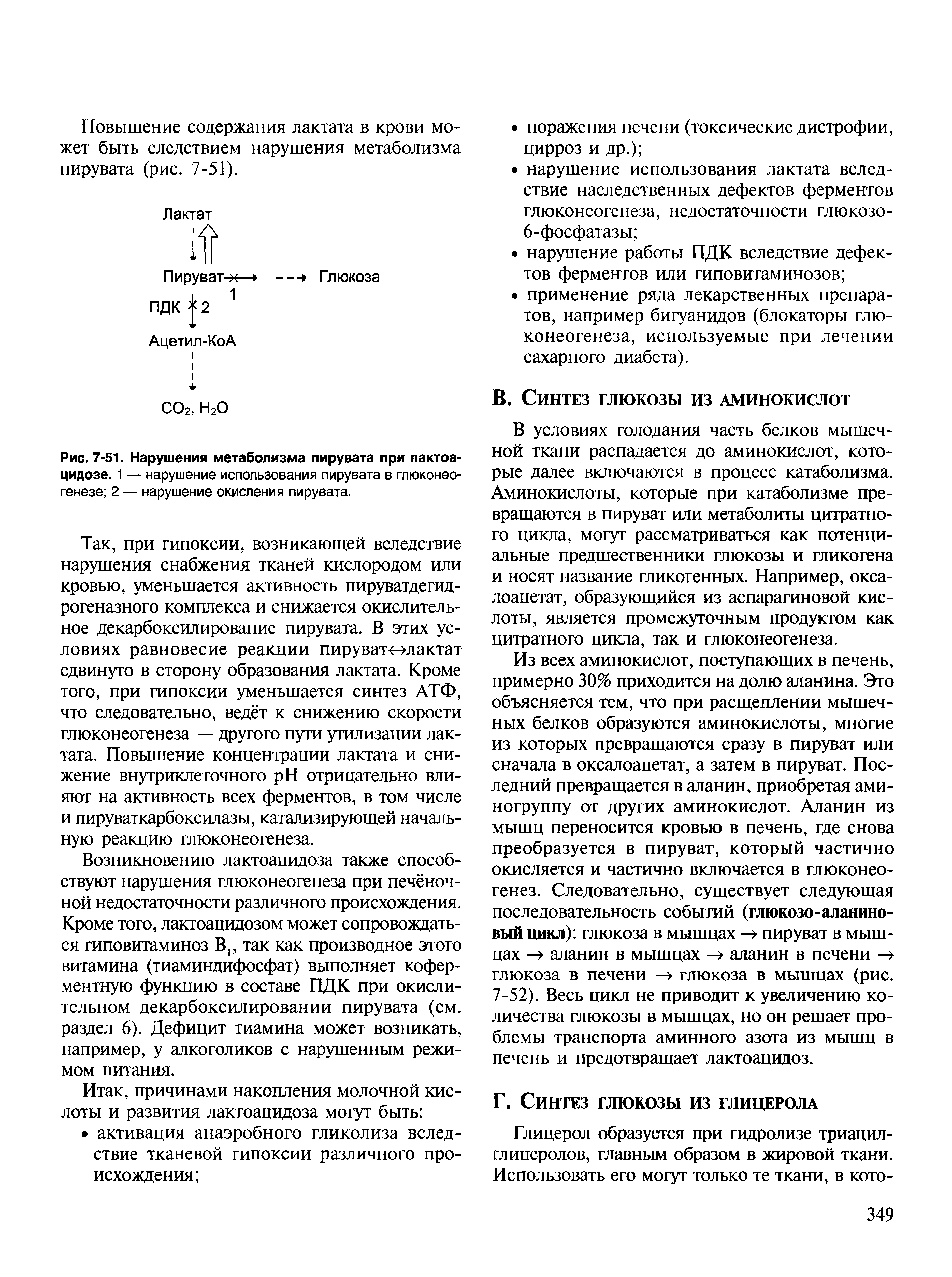 Рис. 7-51. Нарушения метаболизма пирувата при лактоацидозе. 1 — нарушение использования пирувата в глюконеогенезе 2 — нарушение окисления пирувата.