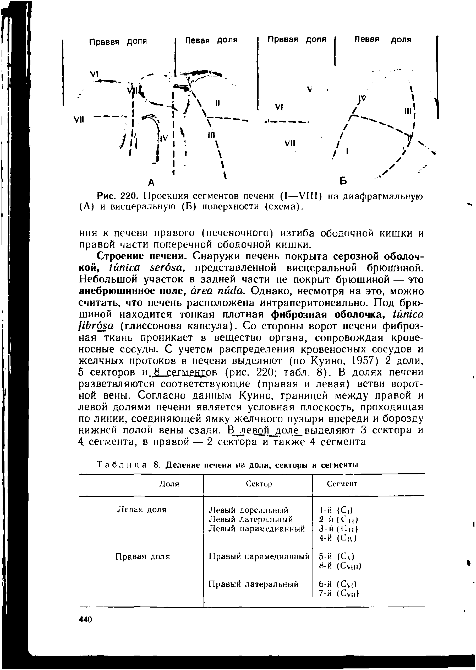 Таблица 8. Деление печени на доли, секторы и сегменты...