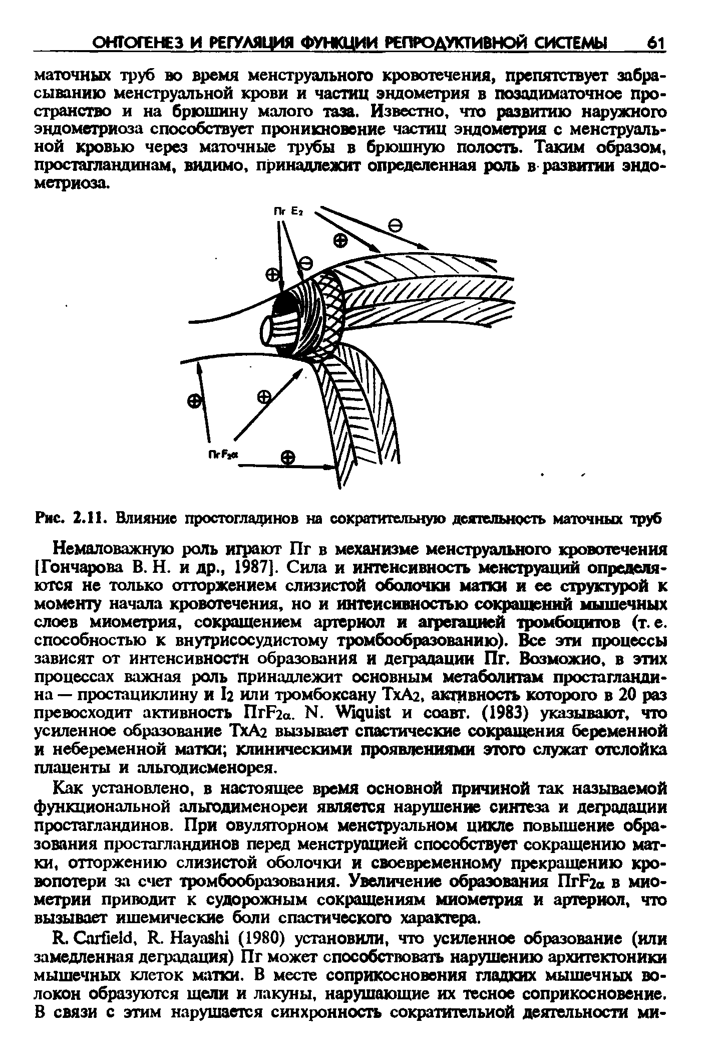 Рис. 2.11. Влияние простогладинов на сократительную деятельность маточных труб...