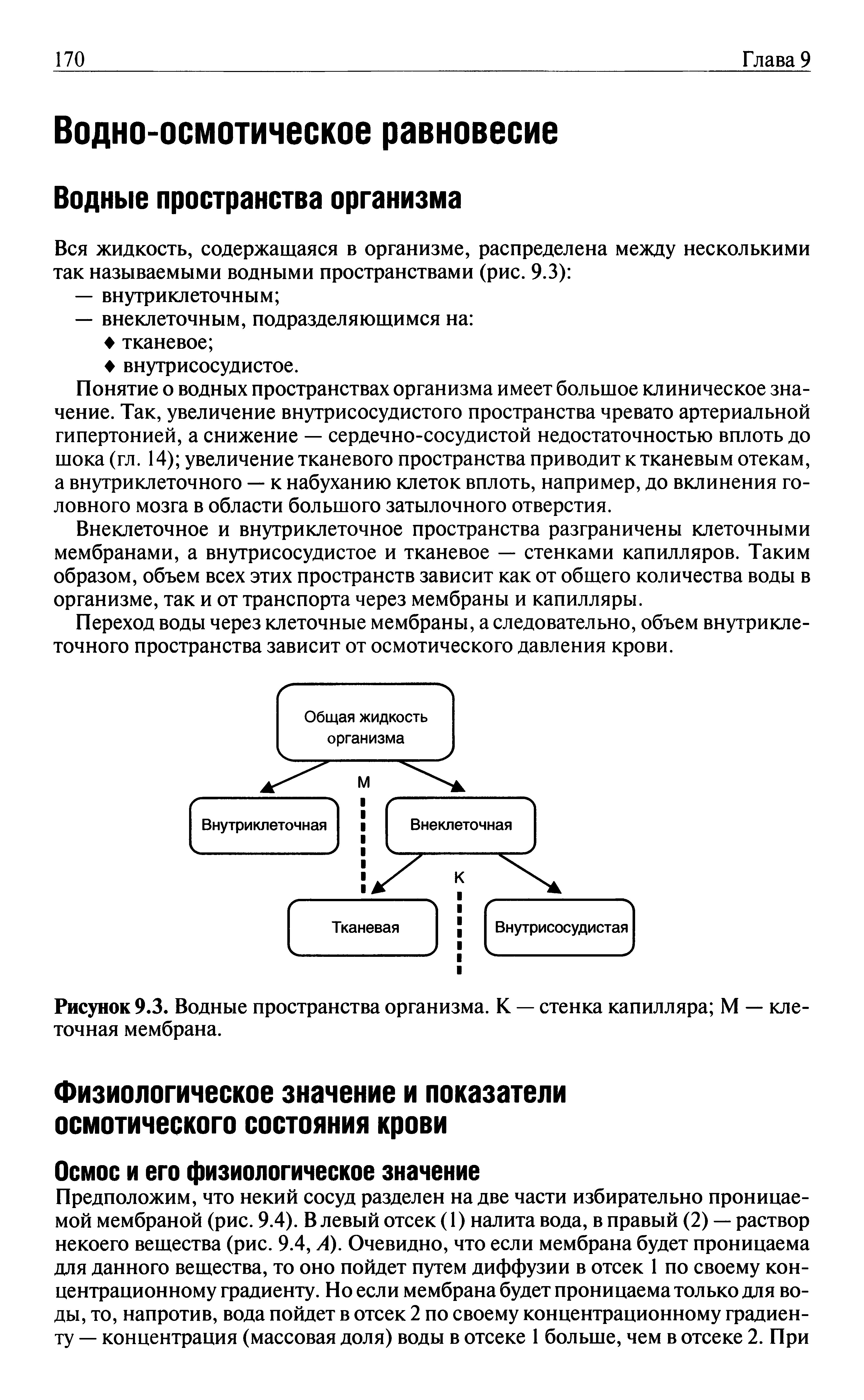 Рисунок 9.3. Водные пространства организма. К — стенка капилляра М — клеточная мембрана.