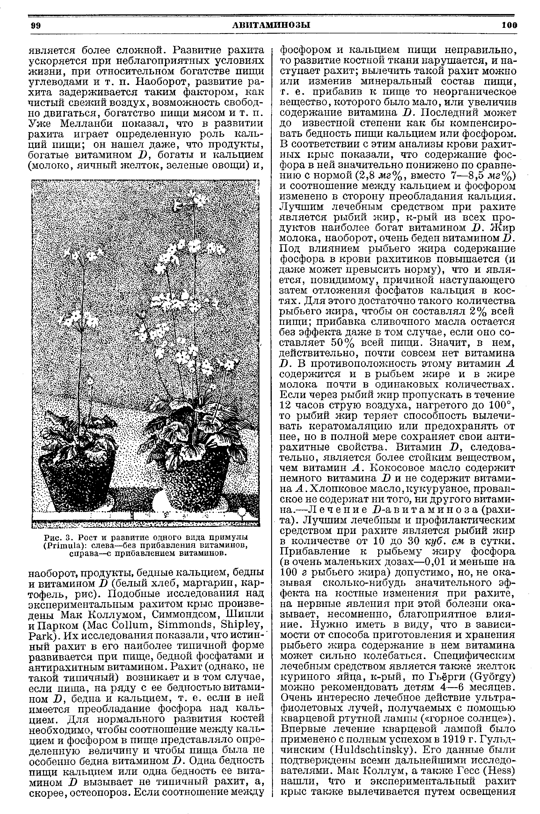 Рис. 3. Рост и развитие одного вида примулы (P ) слева—без прибавления витаминов, справа—с прибавлением витаминов.