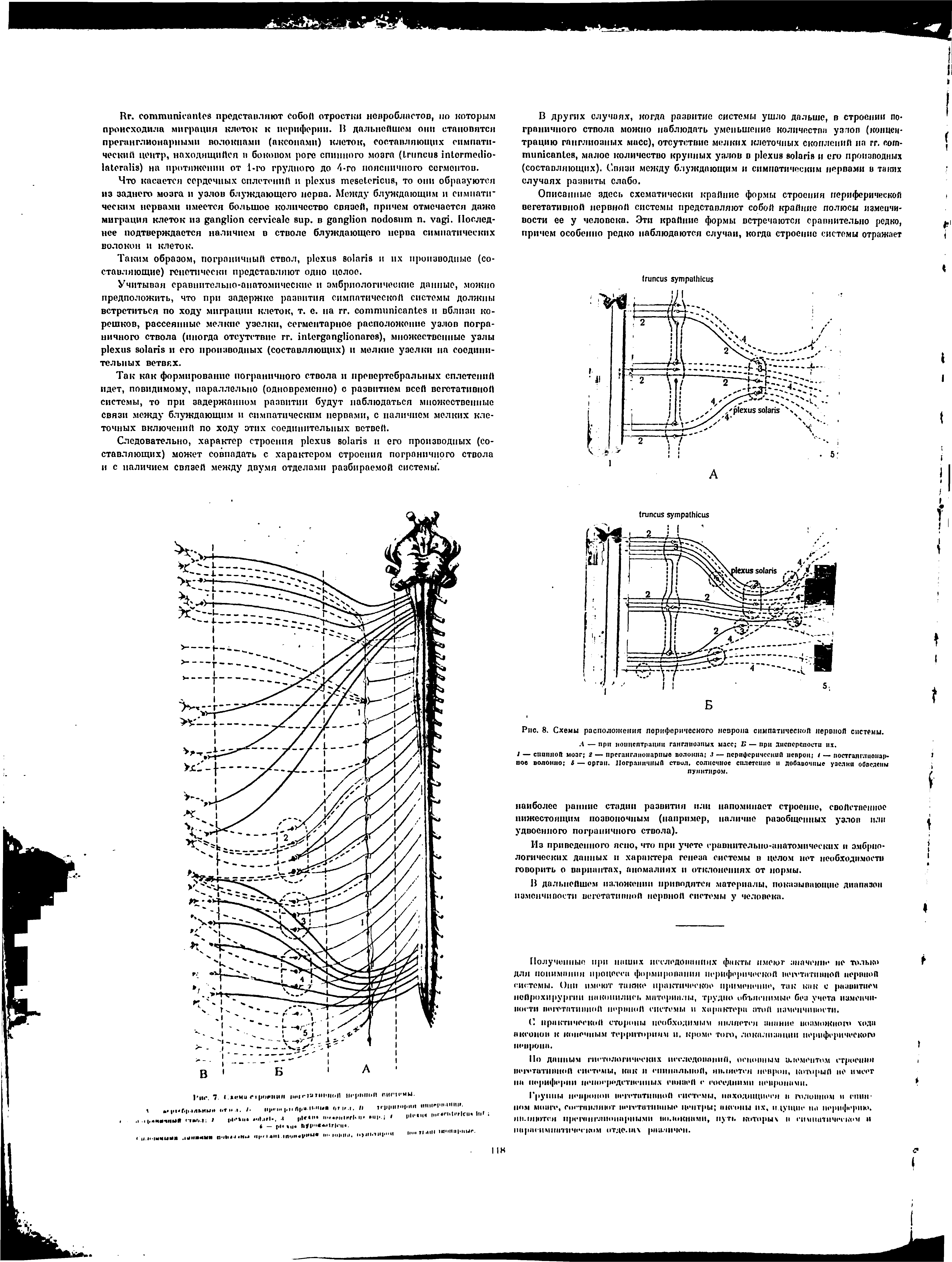 Рис. 8. Схемы расположения периферического невроиа симпатическоП нероноЛ системы.