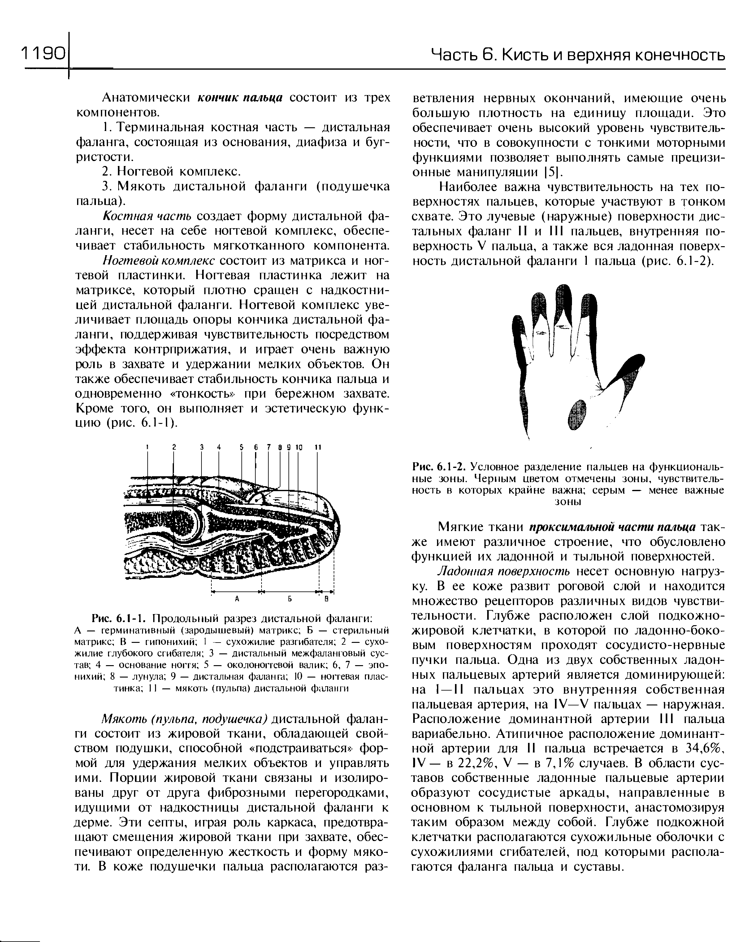 Рис. 6.1-1. Продольный разрез дистальной фаланги А — герминативный (зародышевый) матрикс Б — стерильный матрикс В — гипонихий 1 — сухожилие разгибателя 2 — сухожилие глубокого сгибателя 3 — дистальный межфаланговый сустав 4 — основание ногтя 5 — околоноггевой валик 6, 7 — эпо-нихий 8 — лунула 9 — дистальная фаланга 10 — ногтевая пластинка 11 — мякоть (пульпа) дистальной фаланги...