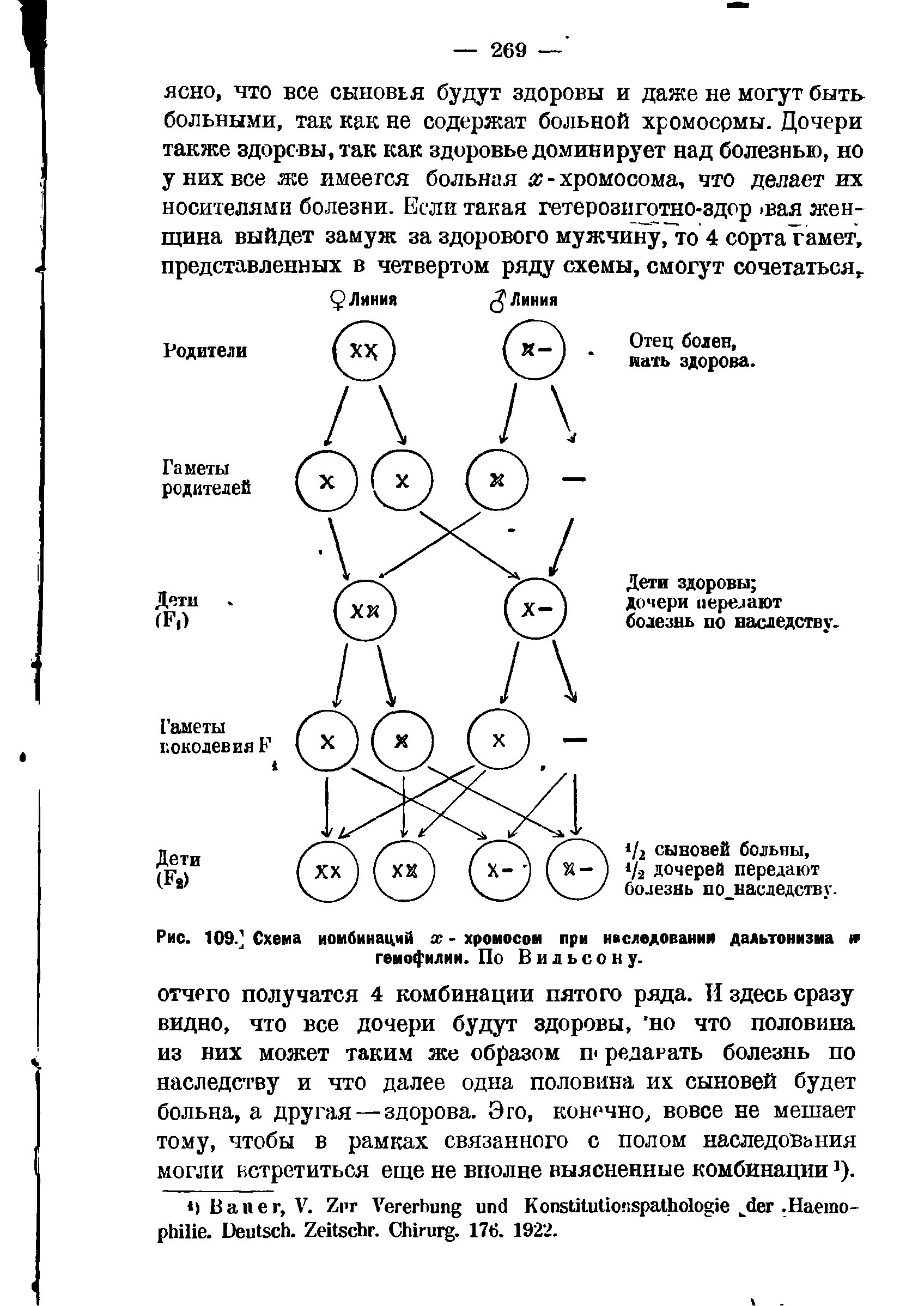 Рис. 109. Схема комбинаций х - хромосом при наследовании дальтонизма и> гемофилии. По Вильсону.