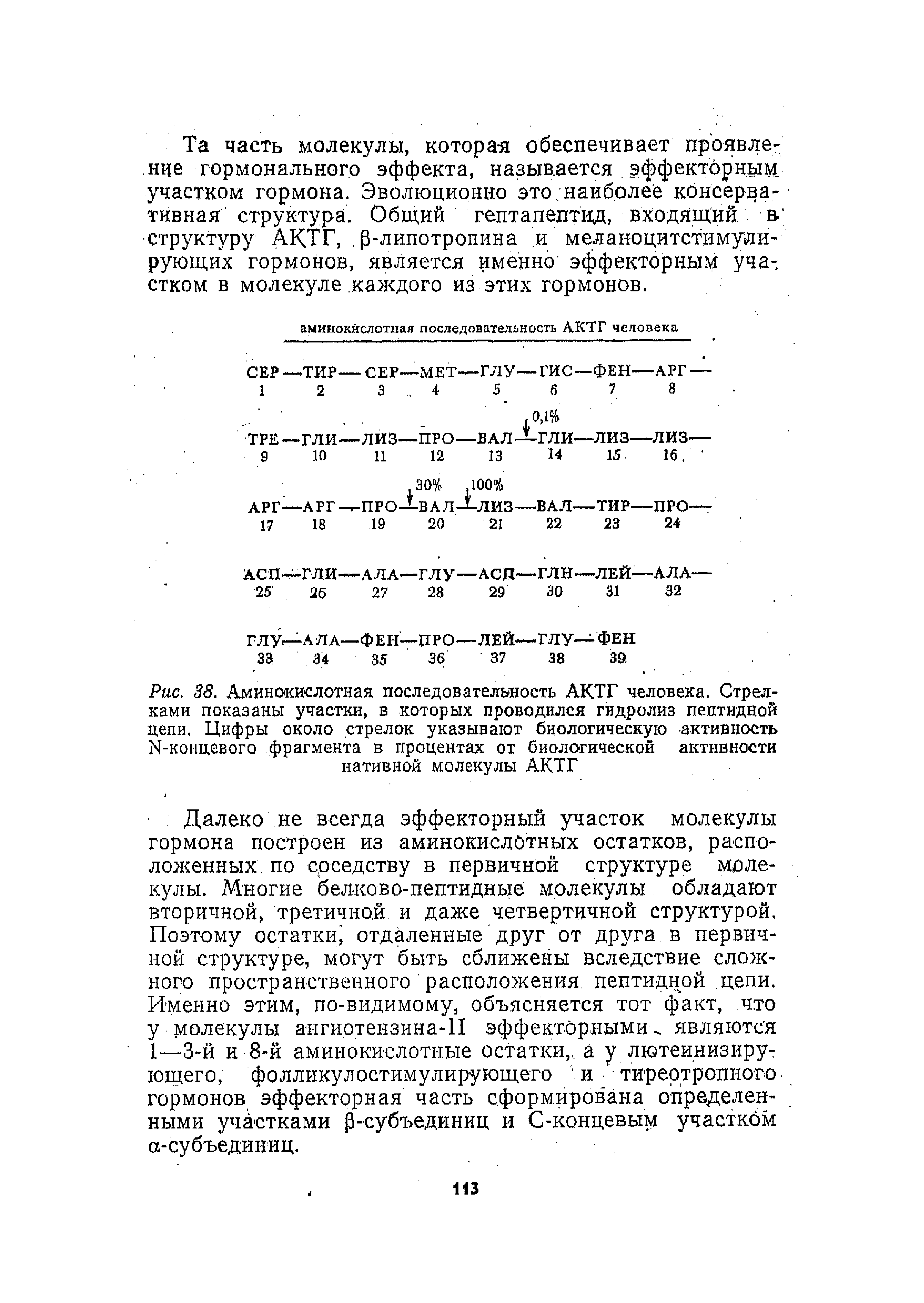 Рис. 38. Аминокислотная последовательность АКТГ человека. Стрелками показаны участки, в которых проводился гидролиз пептидной цепи. Цифры около стрелок указывают биологическую активности 14-концевого фрагмента в Процентах от биологической активности нативной молекулы АКТГ...