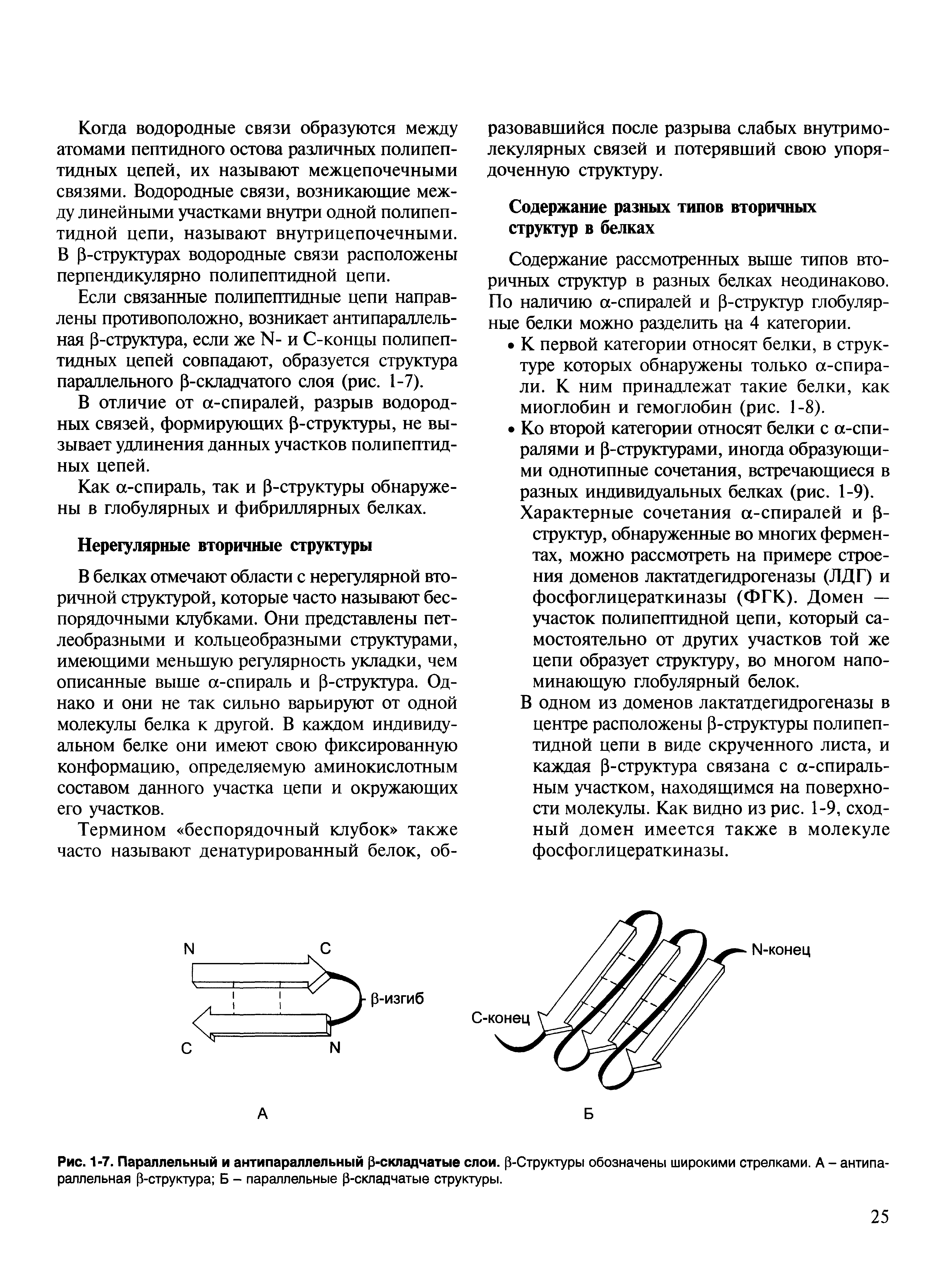 Рис. 1-7. Параллельный и антипараллельный р-складчатые слои. р-Структуры обозначены широкими стрелками. А - антипа-раллельная р-структура Б - параллельные р-складчатые структуры.