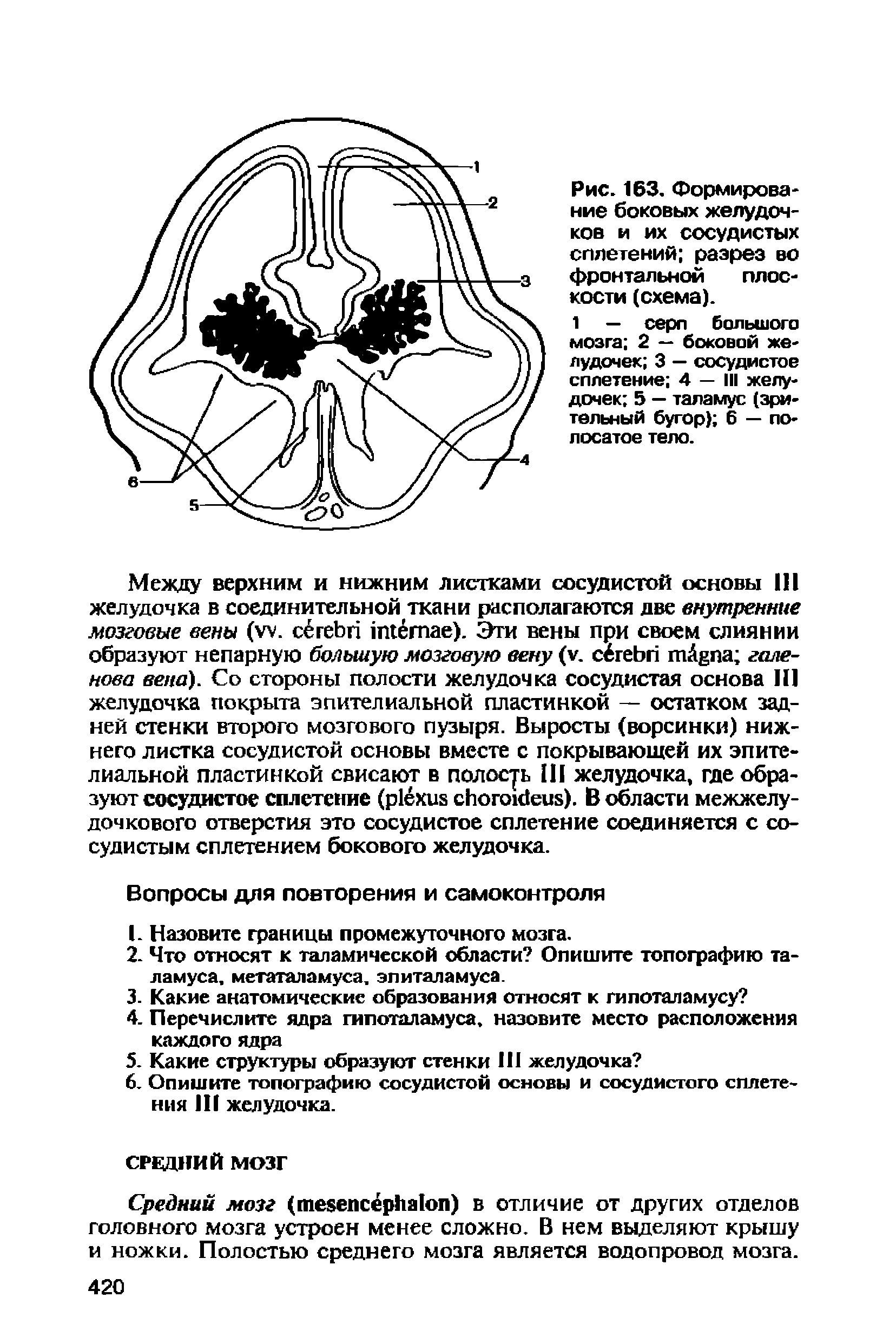 Рис. 163. Формирование боковых желудочков и их сосудистых сплетений разрез во фронтальной плоскости (схема).