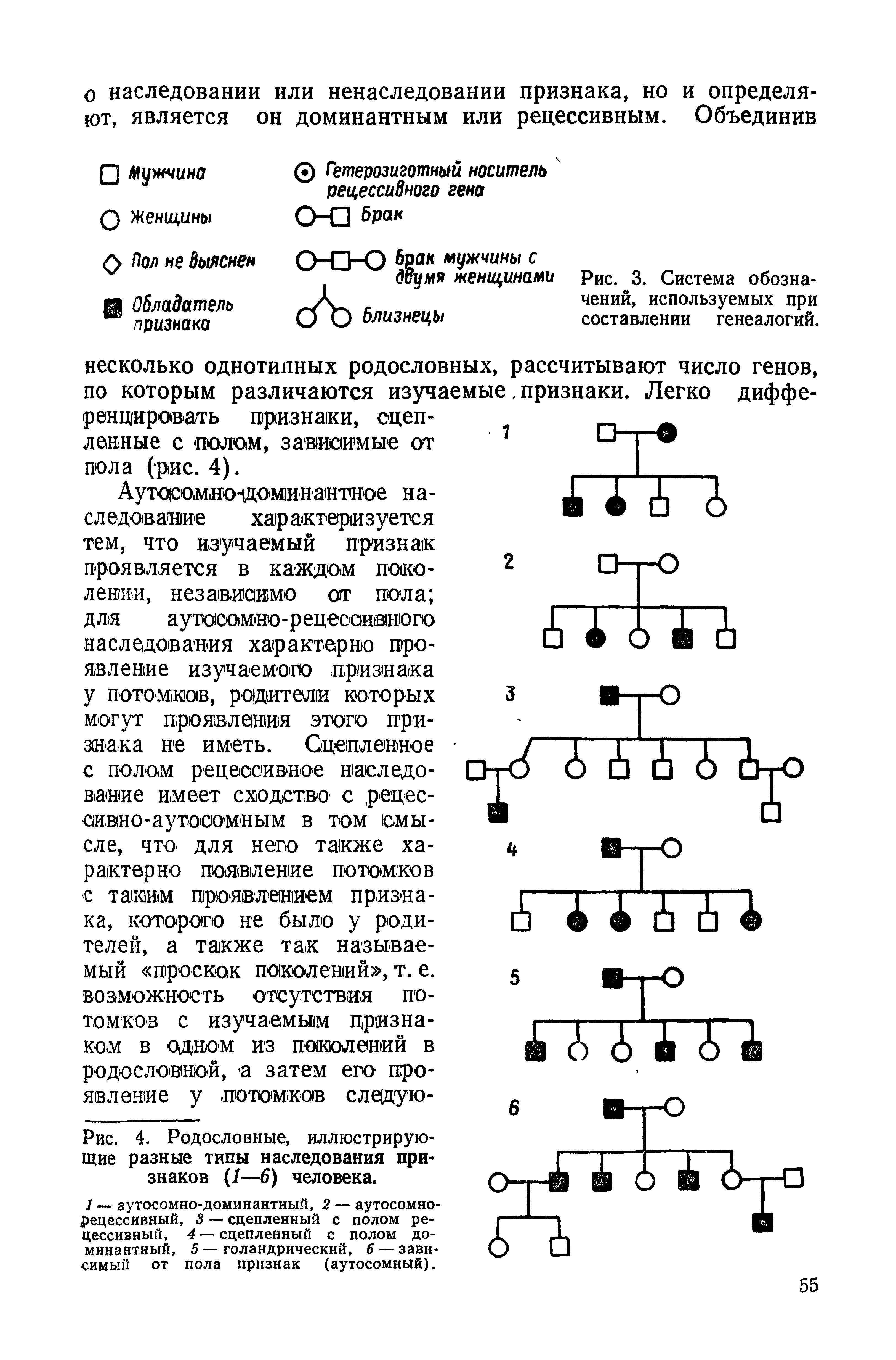 Рис. 4. Родословные, иллюстрирующие разные типы наследования признаков (1—6) человека.