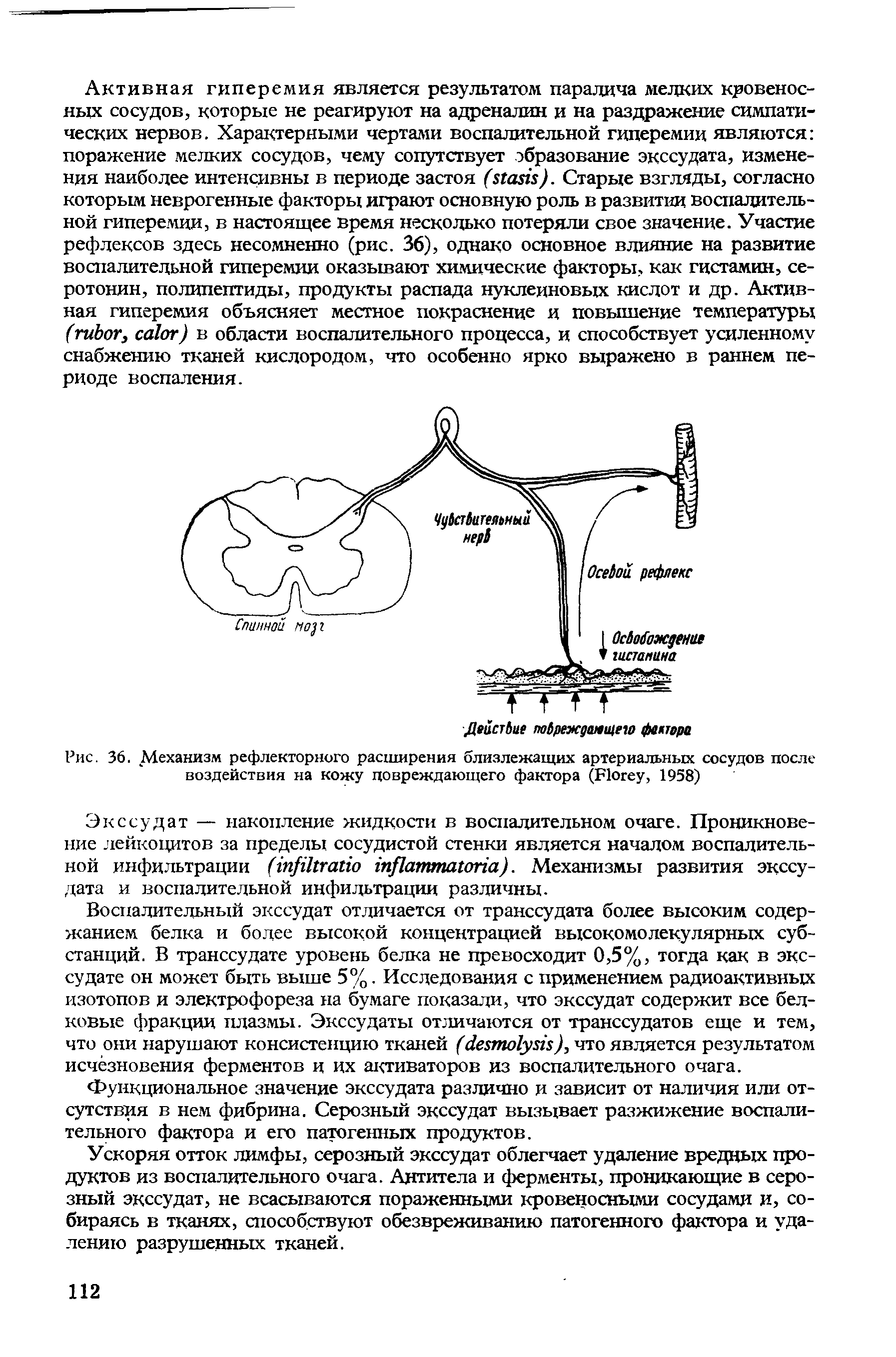 Рис. 36. Механизм рефлекторного расширения близлежащих артериальных сосудов после воздействия на кожу повреждающего фактора (F , 1958)...