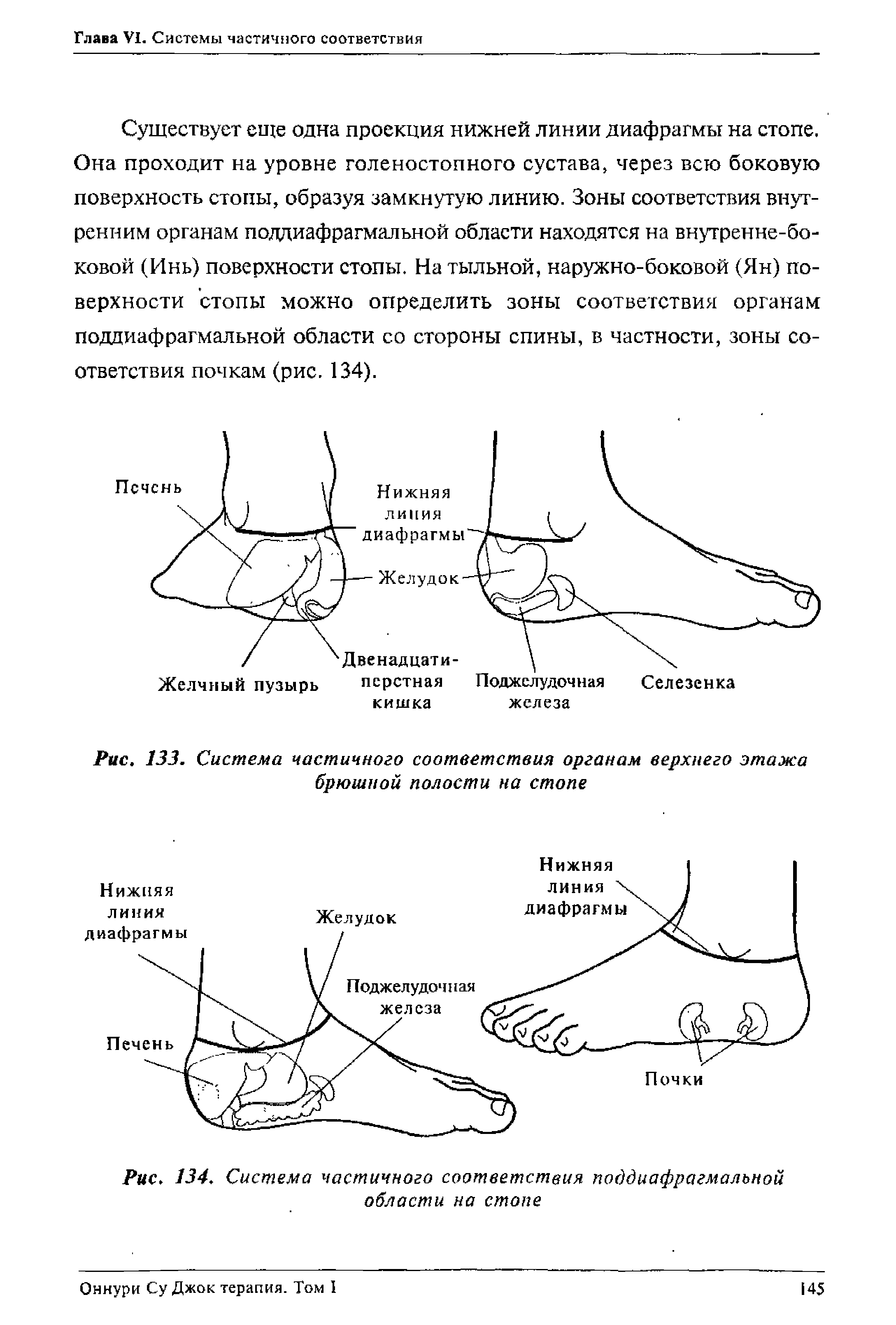 Рис. 133. Система частичного соответствия органам верхнего этажа брюшной полости на стопе...