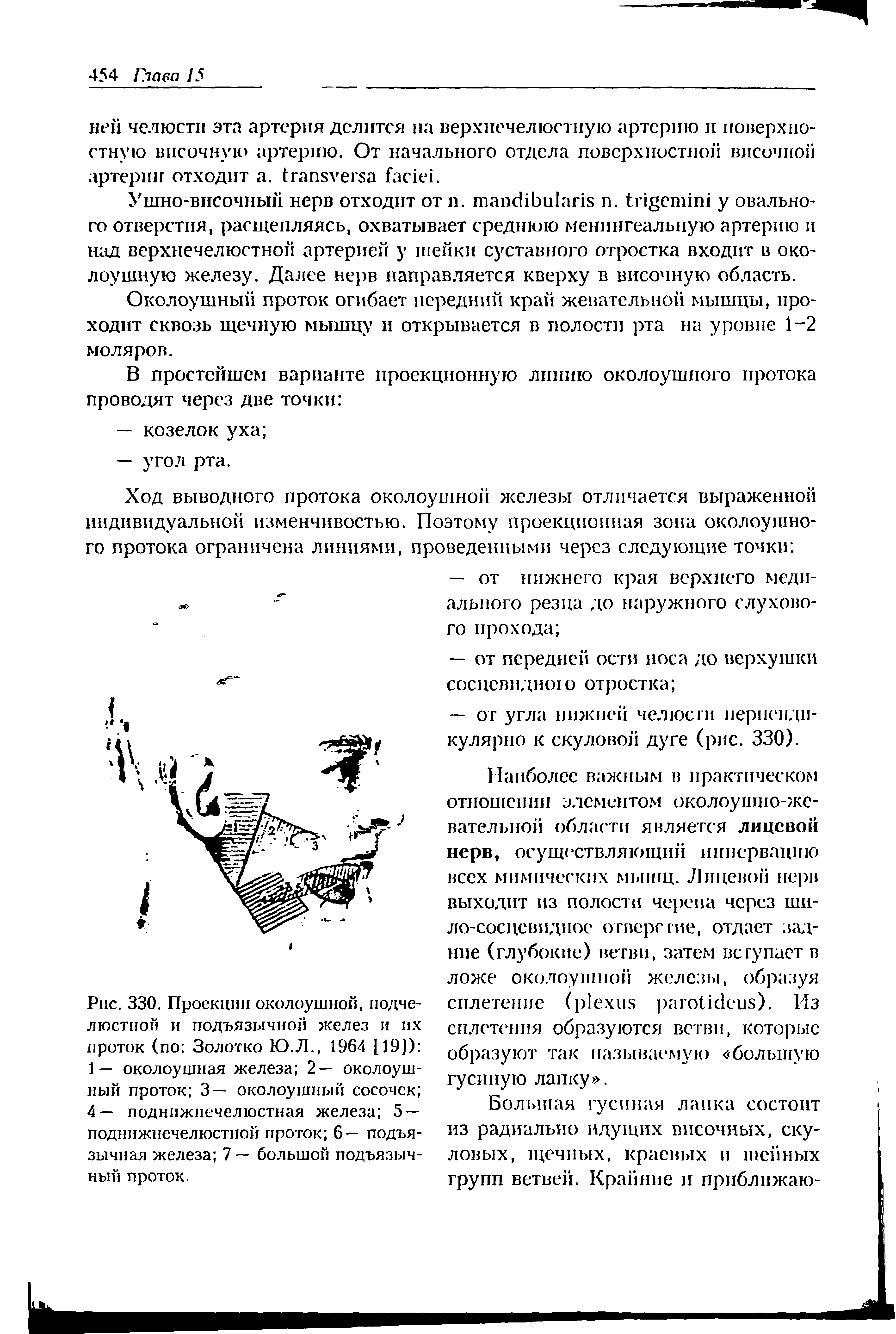 Рис. 330. Проекции околоушной, подчелюстной и подъязычной желез и их проток (по Золотко Ю.Л., 1964 [19]) 1— околоушная железа 2— околоушный проток 3— околоушный сосочек 4— поднижнечелюстная железа 5 — поднижнечелюстной проток 6— подъязычная железа 7— большой подъязычный проток.