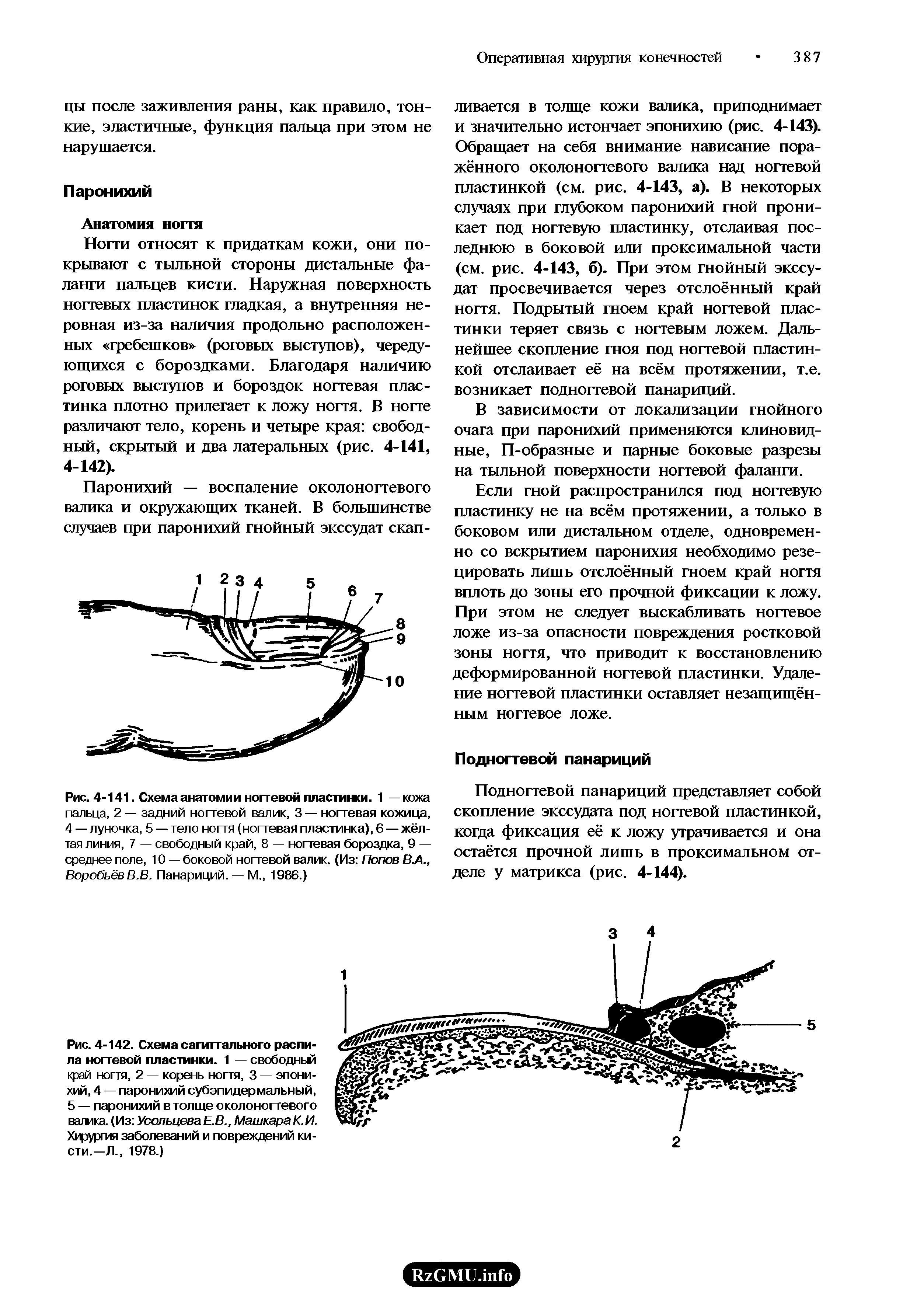 Рис. 4-141. Схема анатомии ногтевой пластинки. 1 — кожа пальца, 2 — задний ногтевой валик, 3 — ногтевая кожица, 4 — луночка, 5 — тело ногтя (ногтевая пластинка), 6 — жёлтая линия, 7 — свободный край, 8 — ногтевая бороздка, 9 — среднее поле, 10 — боковой ногтевой валик. (Из Попов В.А., Воробьёве.В. Панариций. — М., 1986.)...