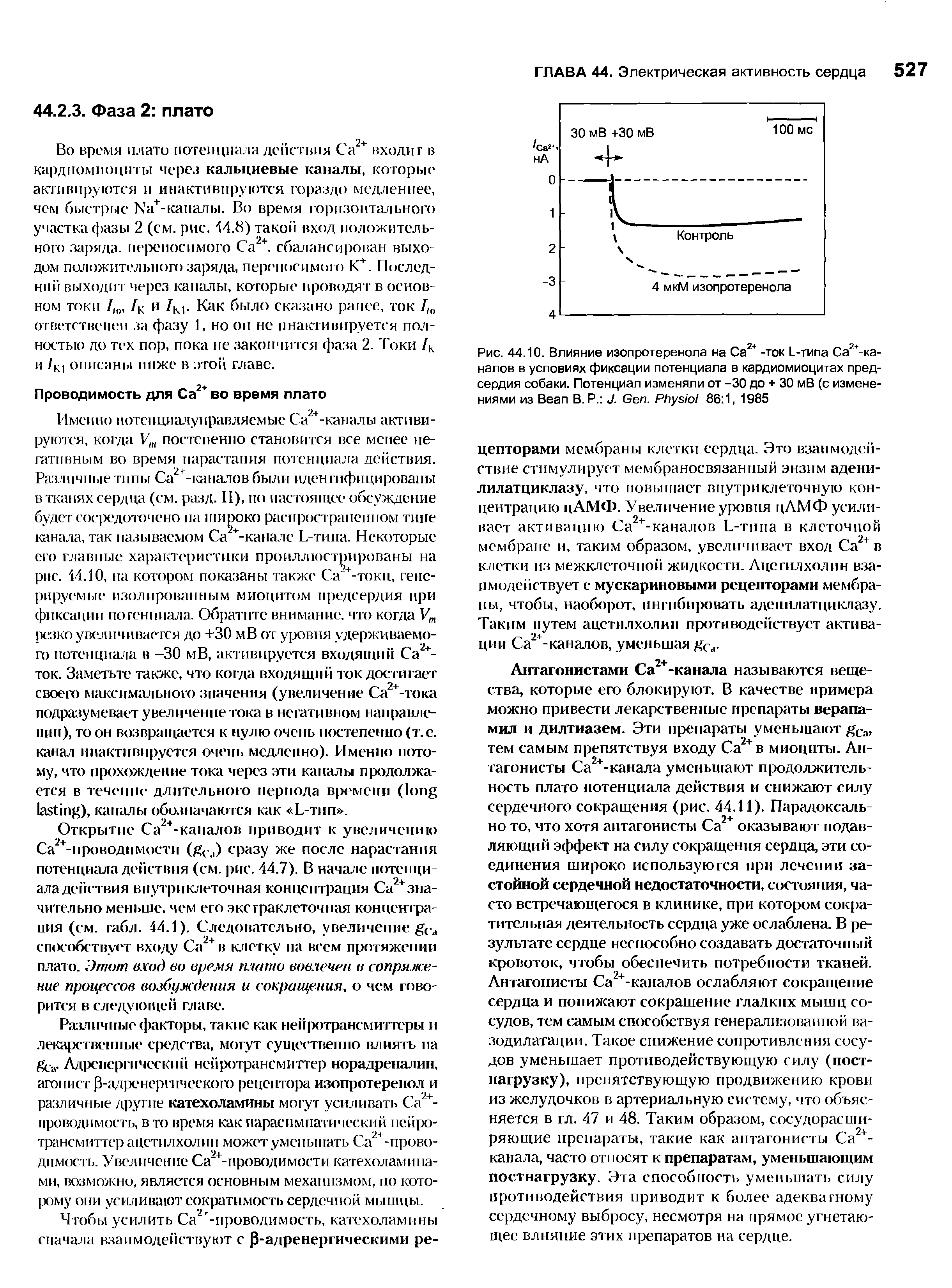 Рис. 44.10. Влияние изопротеренола на Са2+ -ток L-типа Са2+-ка-налов в условиях фиксации потенциала в кардиомиоцитах предсердия собаки. Потенциал изменяли от -30 до + 30 мВ (с изменениями из B В. Р. J. G . P 86 1, 1985...