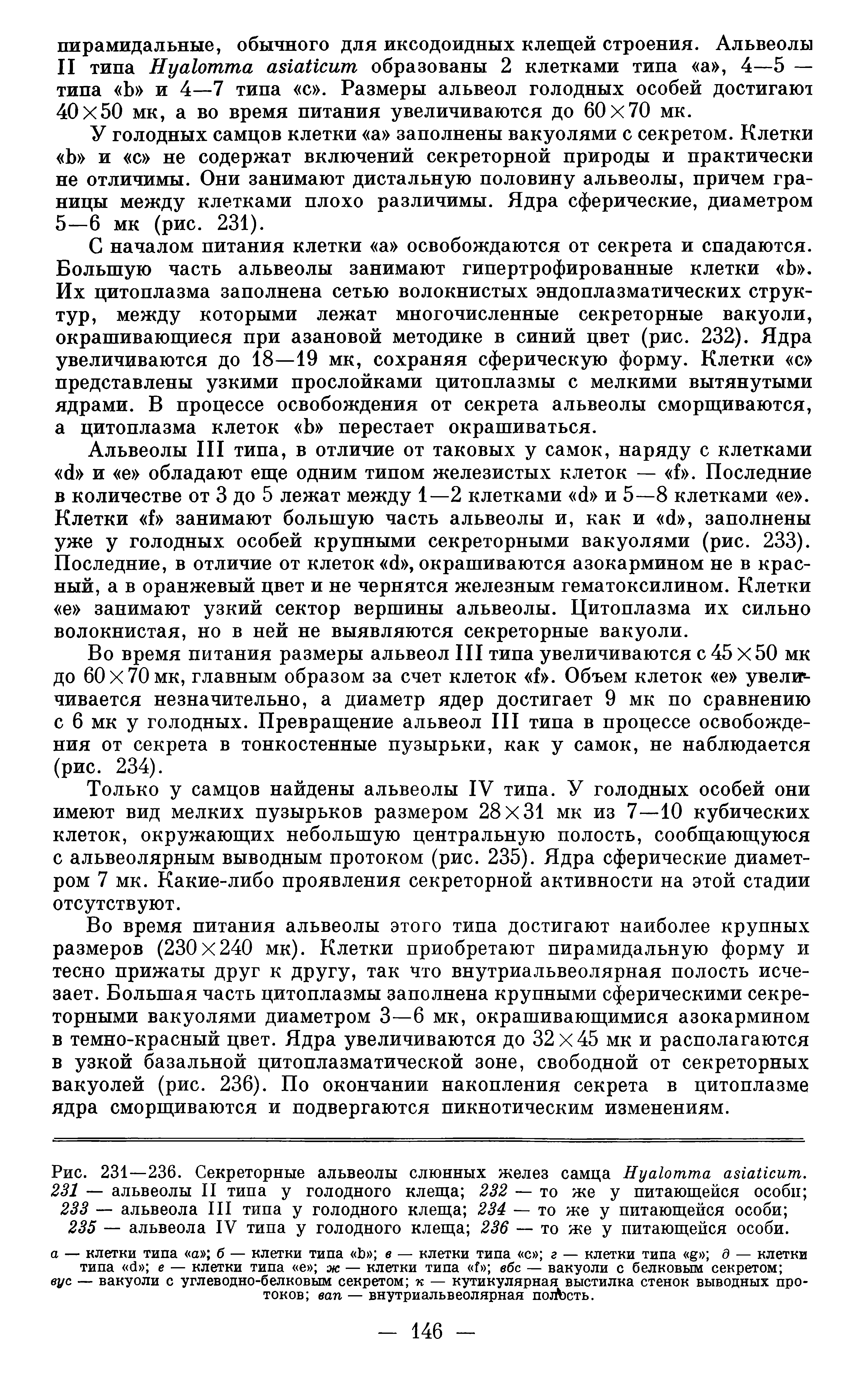 Рис. 231—236. Секреторные альвеолы слюнных желез самца H . 231 — альвеолы II типа у голодного клеща 232 — то же у питающейся особи ...