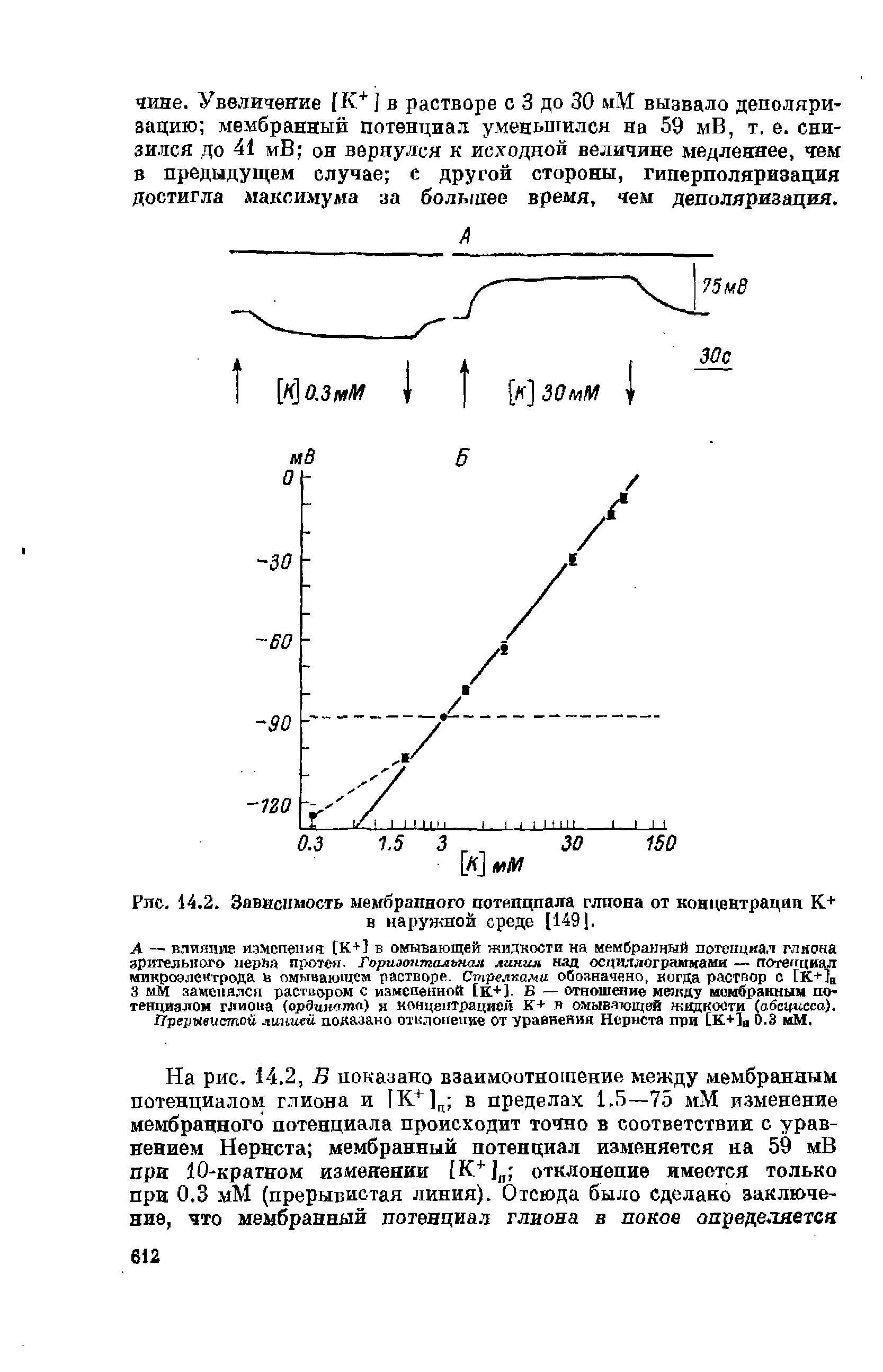 Рис. 14.2. Зависимость мембранного потенциала глиона от концентрации К+ в наружной среде [149].