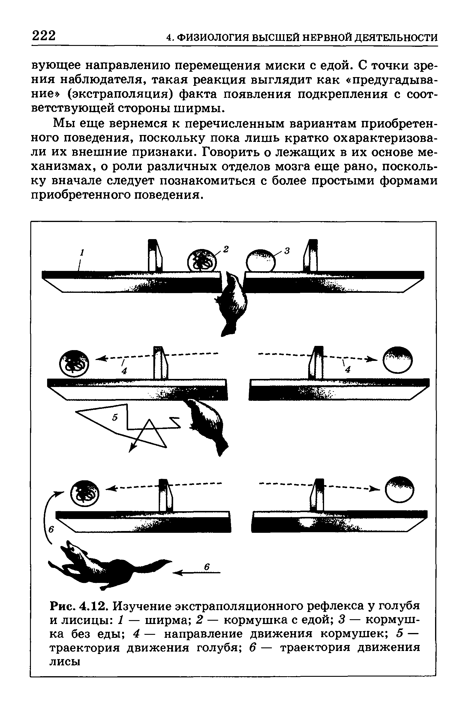 Рис. 4.12. Изучение экстраполяционного рефлекса у голубя и лисицы 1 — ширма 2 — кормушка с едой 3 — кормушка без еды 4 — направление движения кормушек 5 — траектория движения голубя 6 — траектория движения лисы...