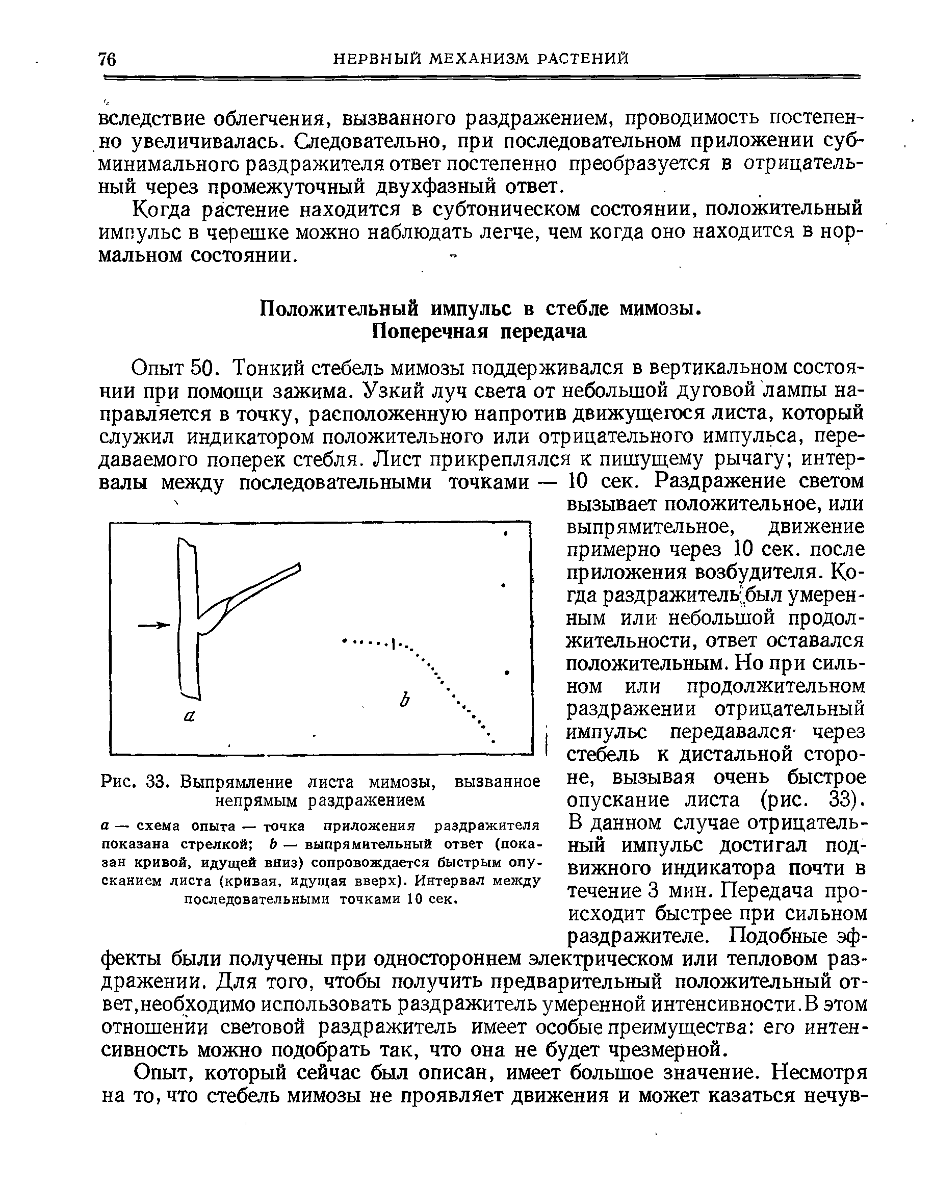 Рис. 33. Выпрямление листа мимозы, вызванное непрямым раздражением...