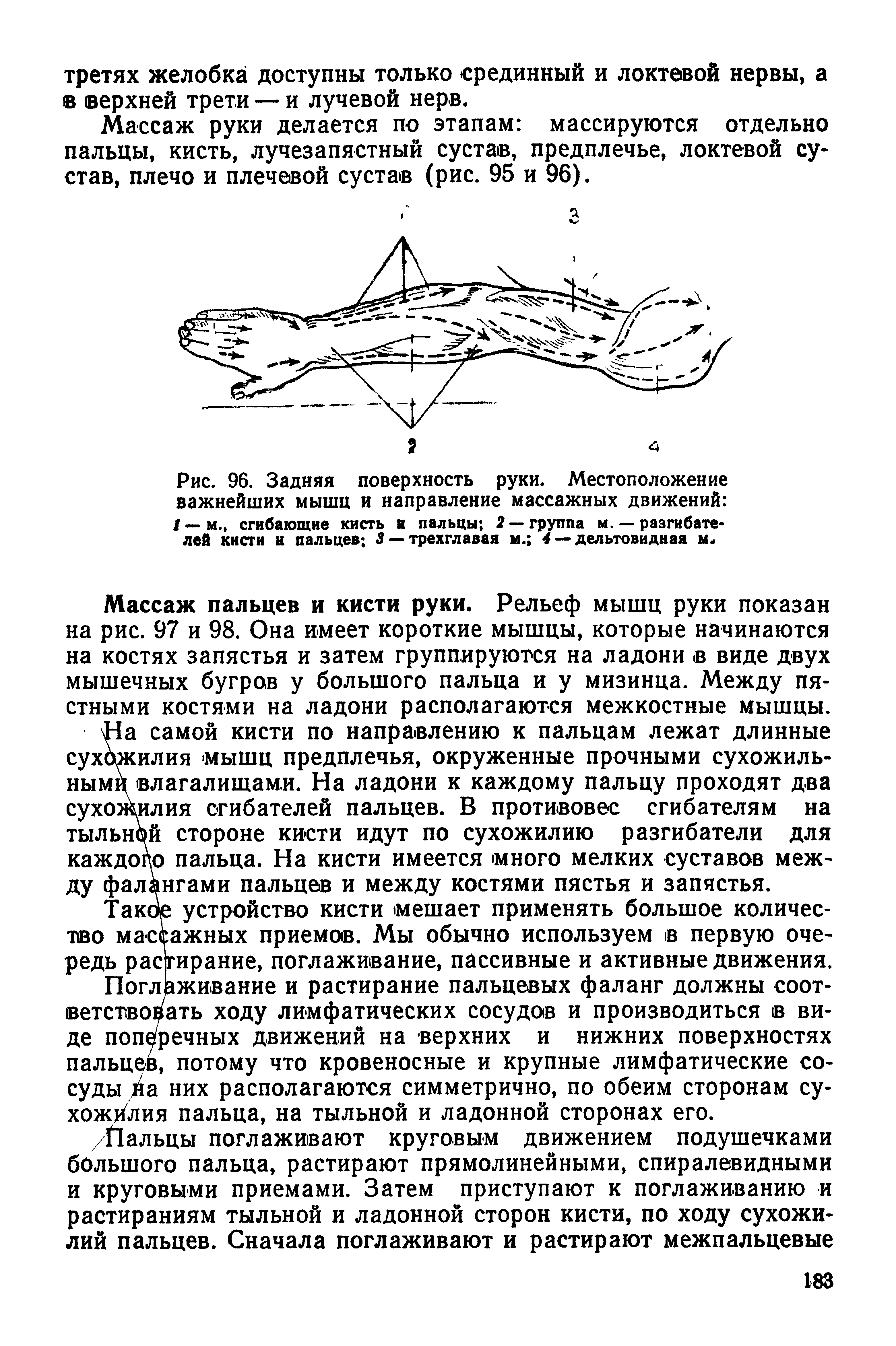 Рис. 96. Задняя поверхность руки. Местоположение важнейших мышц и направление массажных движений / — м., сгибающие кисть и пальцы 2—группа м. — разгибателей кисти и пальцев 3 — трехглавая м. 4 — дельтовидная м<...