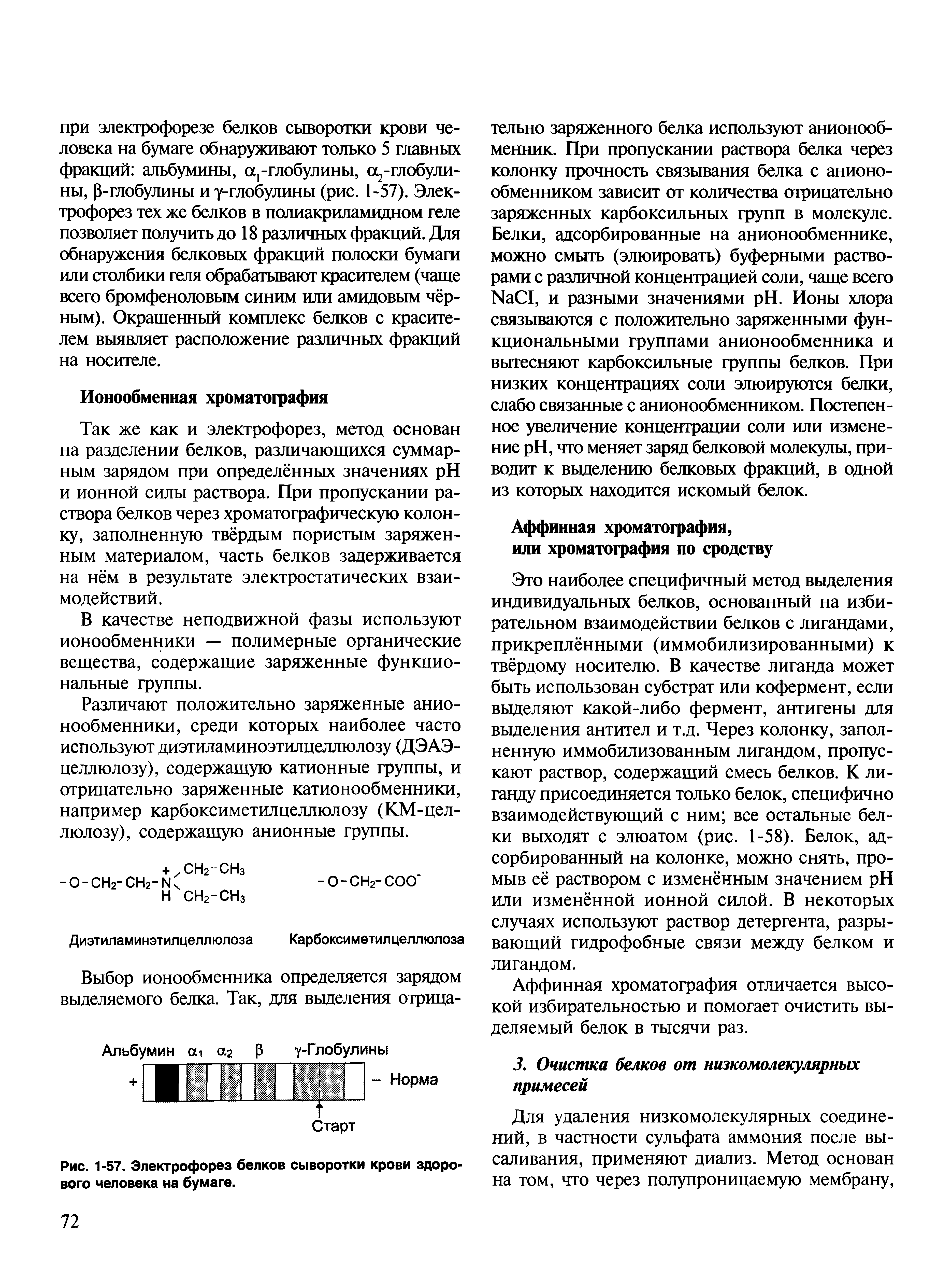 Рис. 1-57. Электрофорез белков сыворотки крови здорового человека на бумаге.