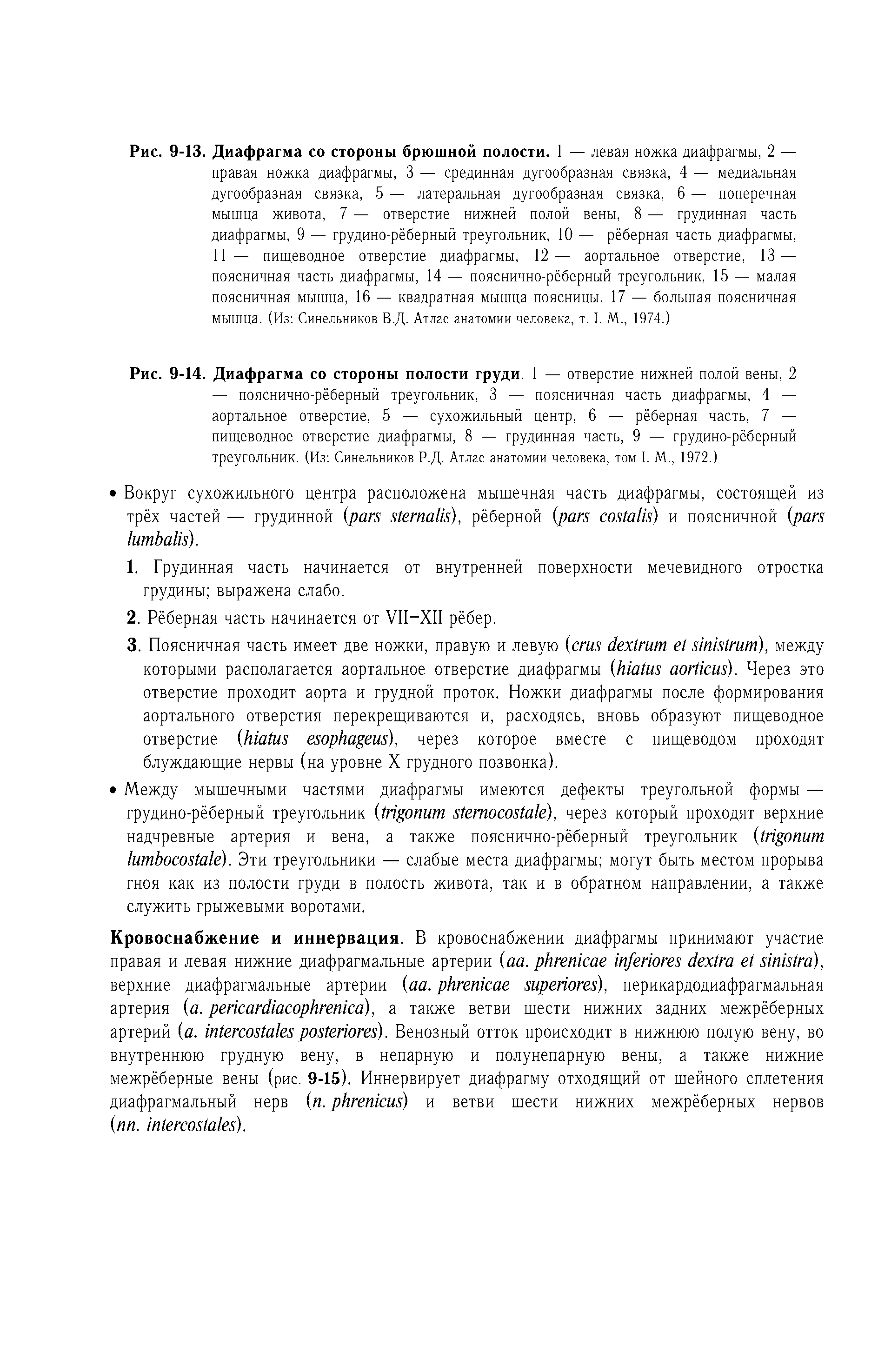 Рис. 9-14. Диафрагма со стороны полости груди. 1 — отверстие нижней полой вены, 2...