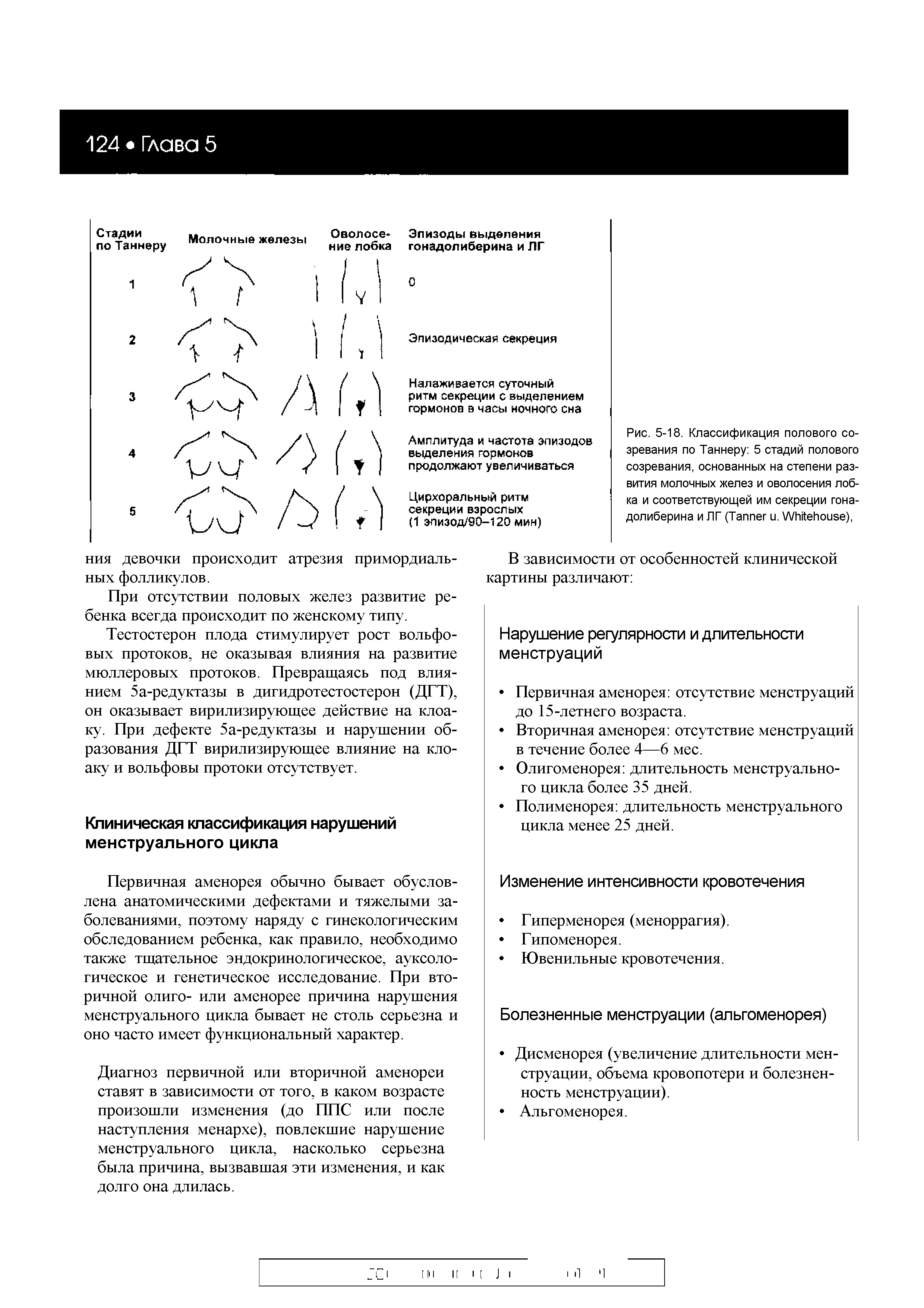 Рис. 5-18. Классификация полового созревания по Таннеру 5 стадий полового созревания, основанных на степени развития молочных желез и оволосения лобка и соответствующей им секреции гонадолиберина и ЛГ (T . W ),...