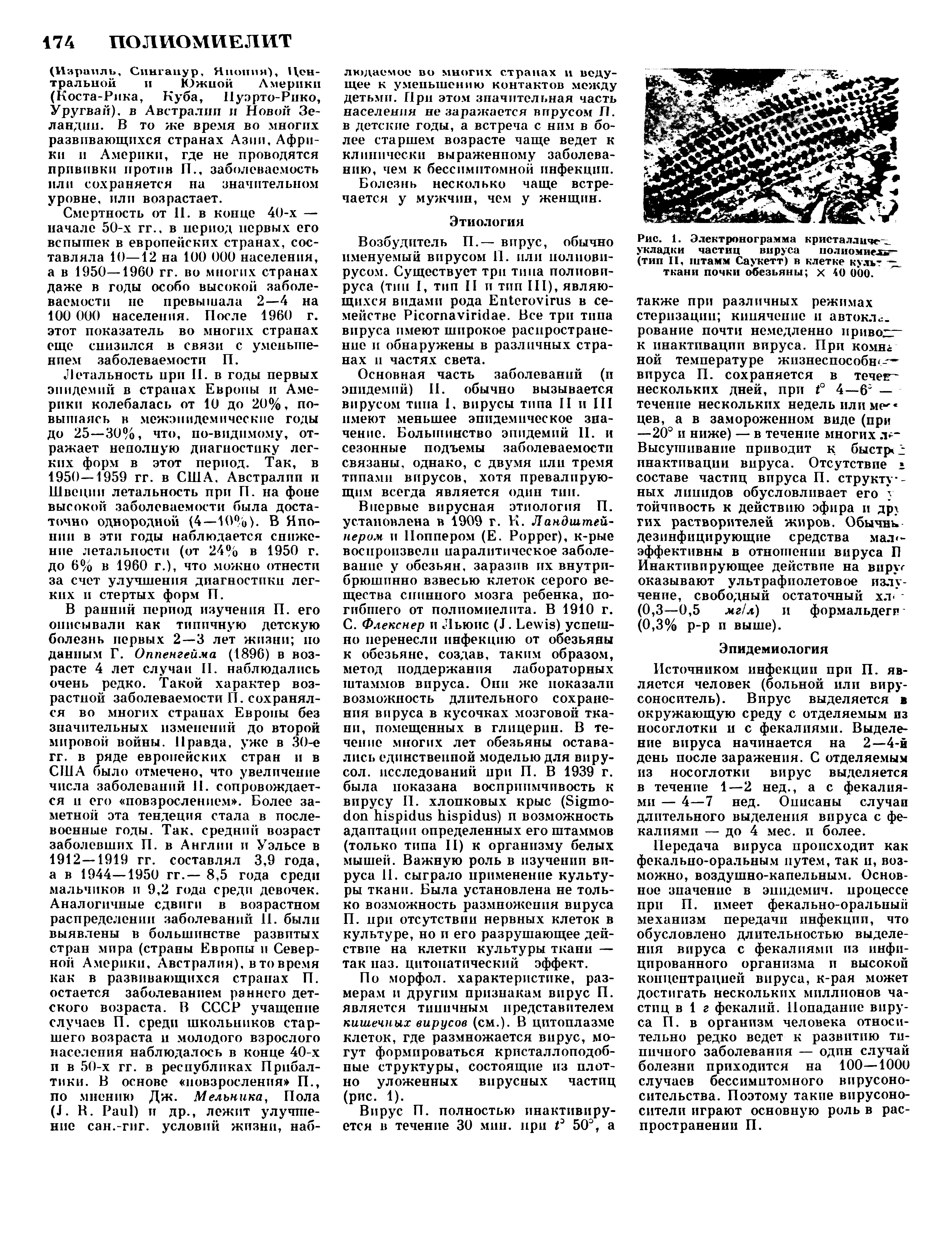 Рис. 1. Электронограмма кристалличе-х. укладки частиц вируса полиомиелит-(тип II, штамм Саукетт) в клетке культ ткани почки обезьяны х 40 000.