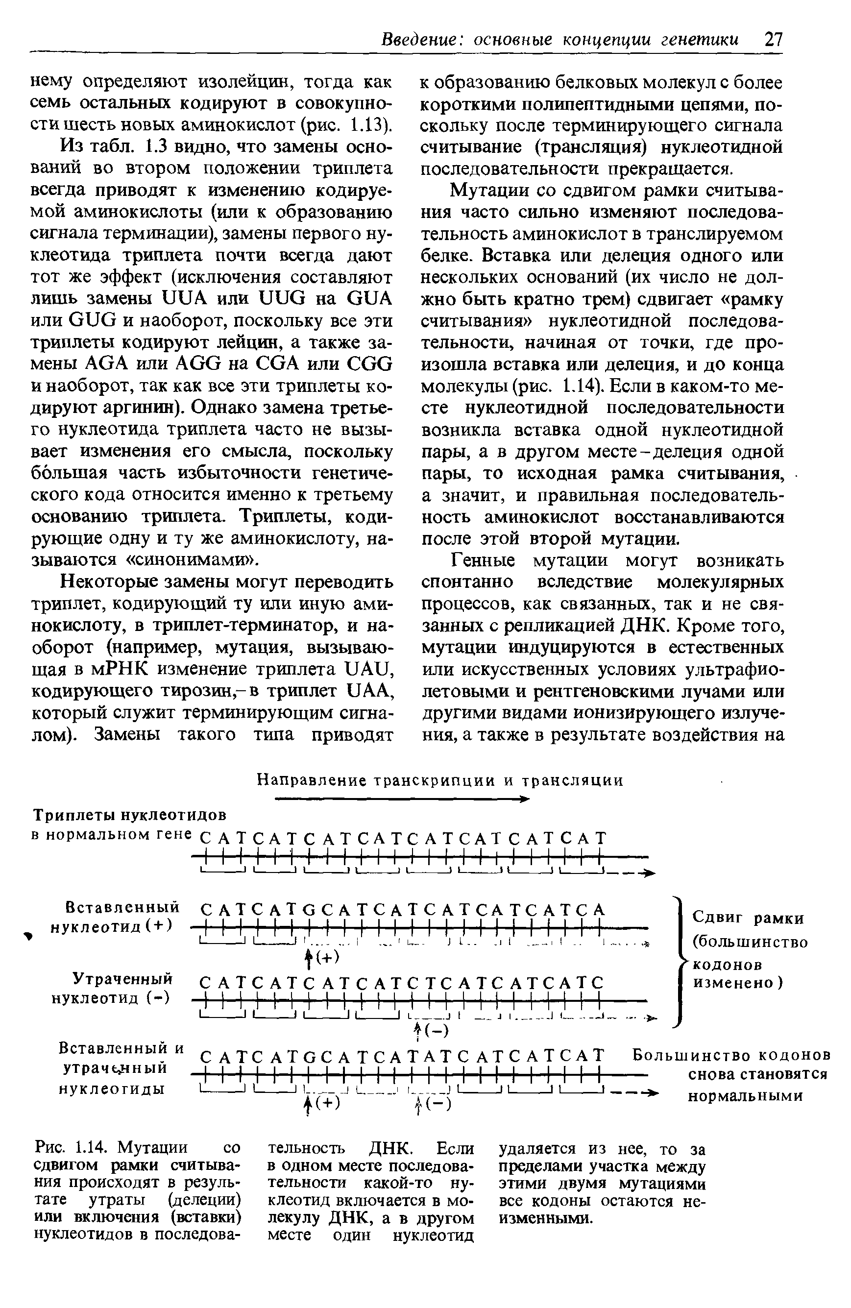 Рис. 1.14. Мутации со сдвигом рамки считывания происходят в результате утраты (делении) или включения (вставки) нуклеотидов в последова...