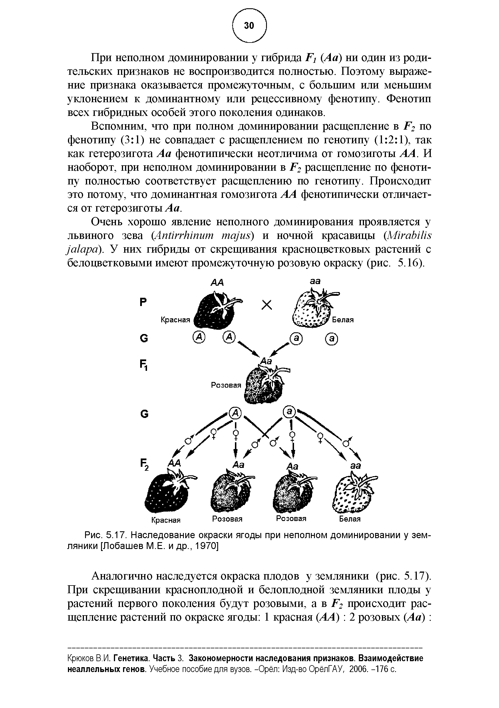 Рис. 5.17. Наследование окраски ягоды при неполном доминировании у земляники [Лобашев М.Е. и др., 1970]...