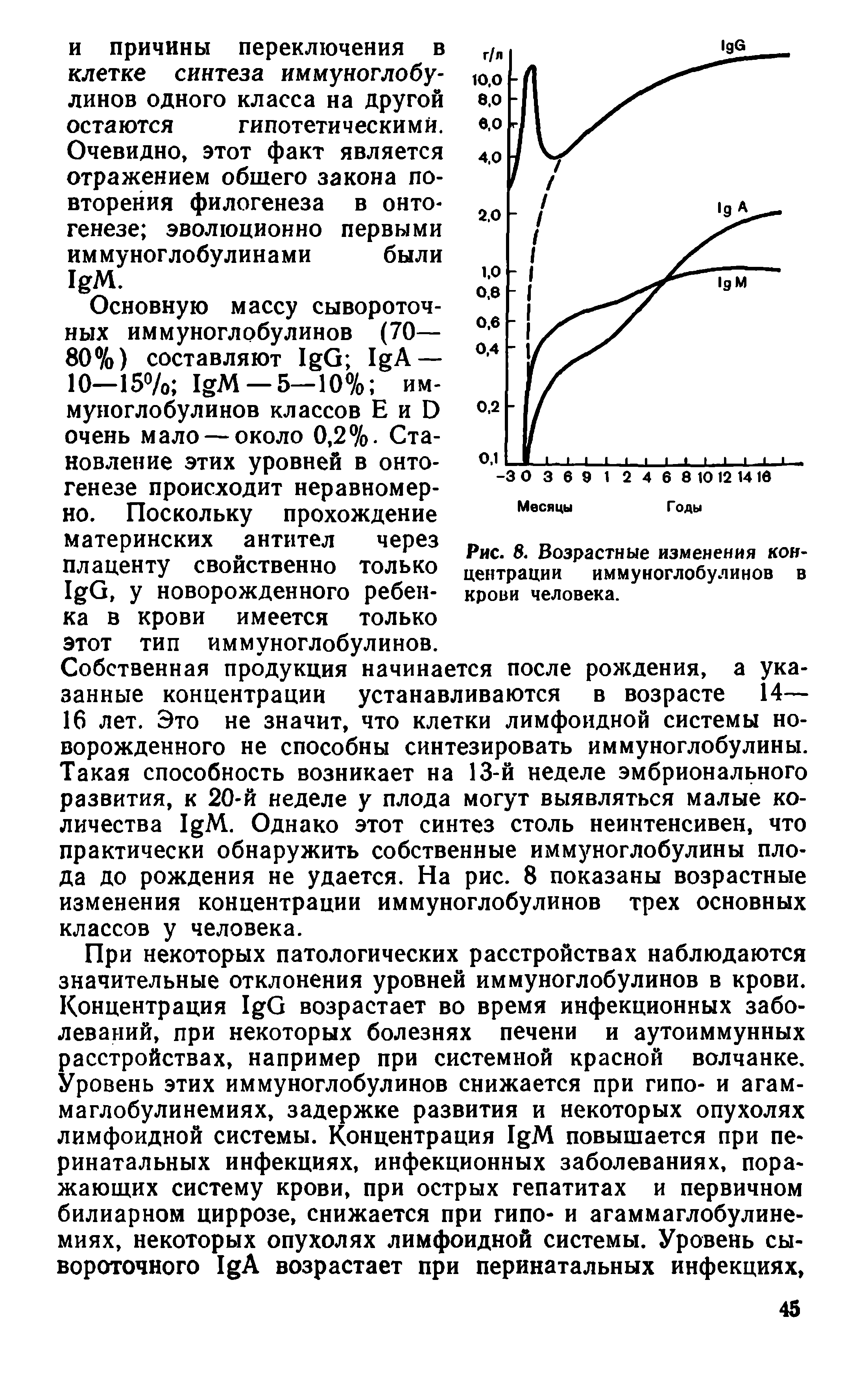 Рис. 8. Возрастные изменения концентрации иммуноглобулинов в крови человека.