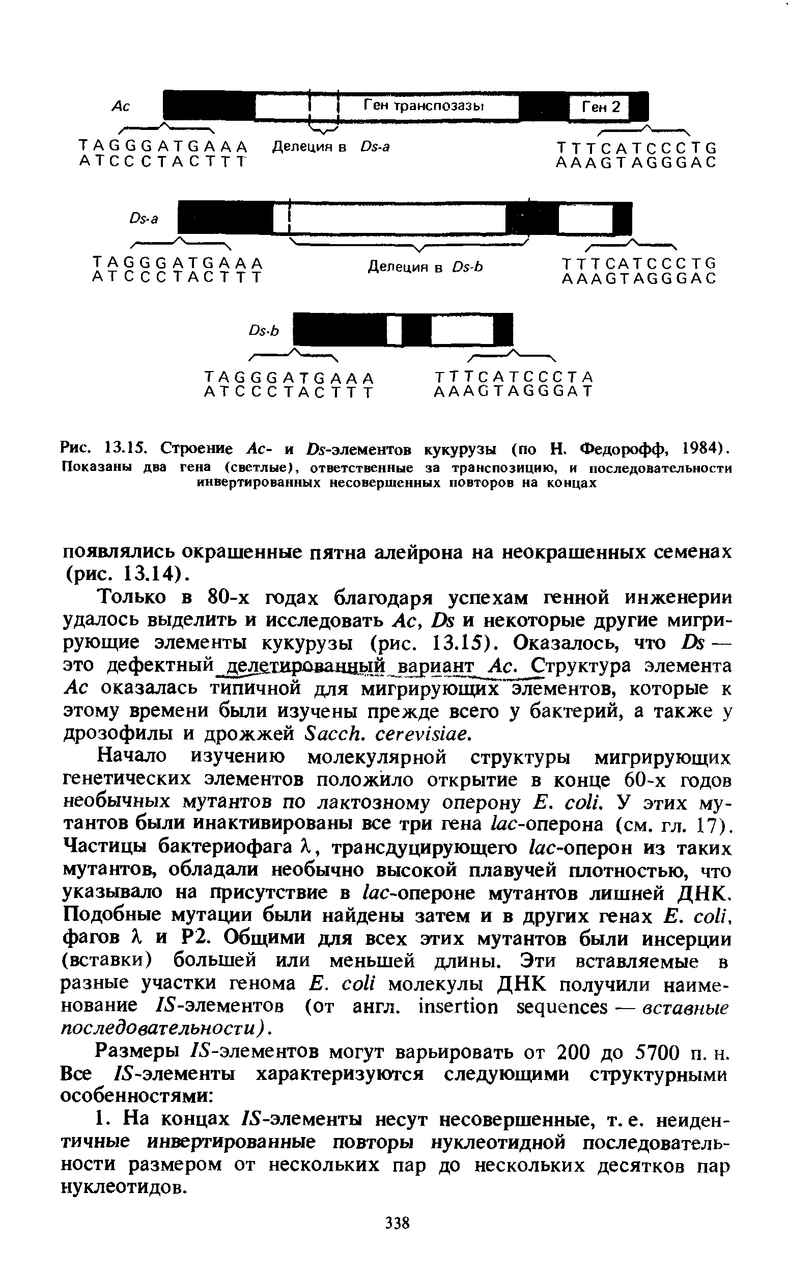 Рис. 13.15. Строение Ас- и Ох-элементов кукурузы (по Н. Федорофф, 1984). Показаны два гена (светлые), ответственные за транспозицию, и последовательности инвертированных несовершенных повторов на концах...