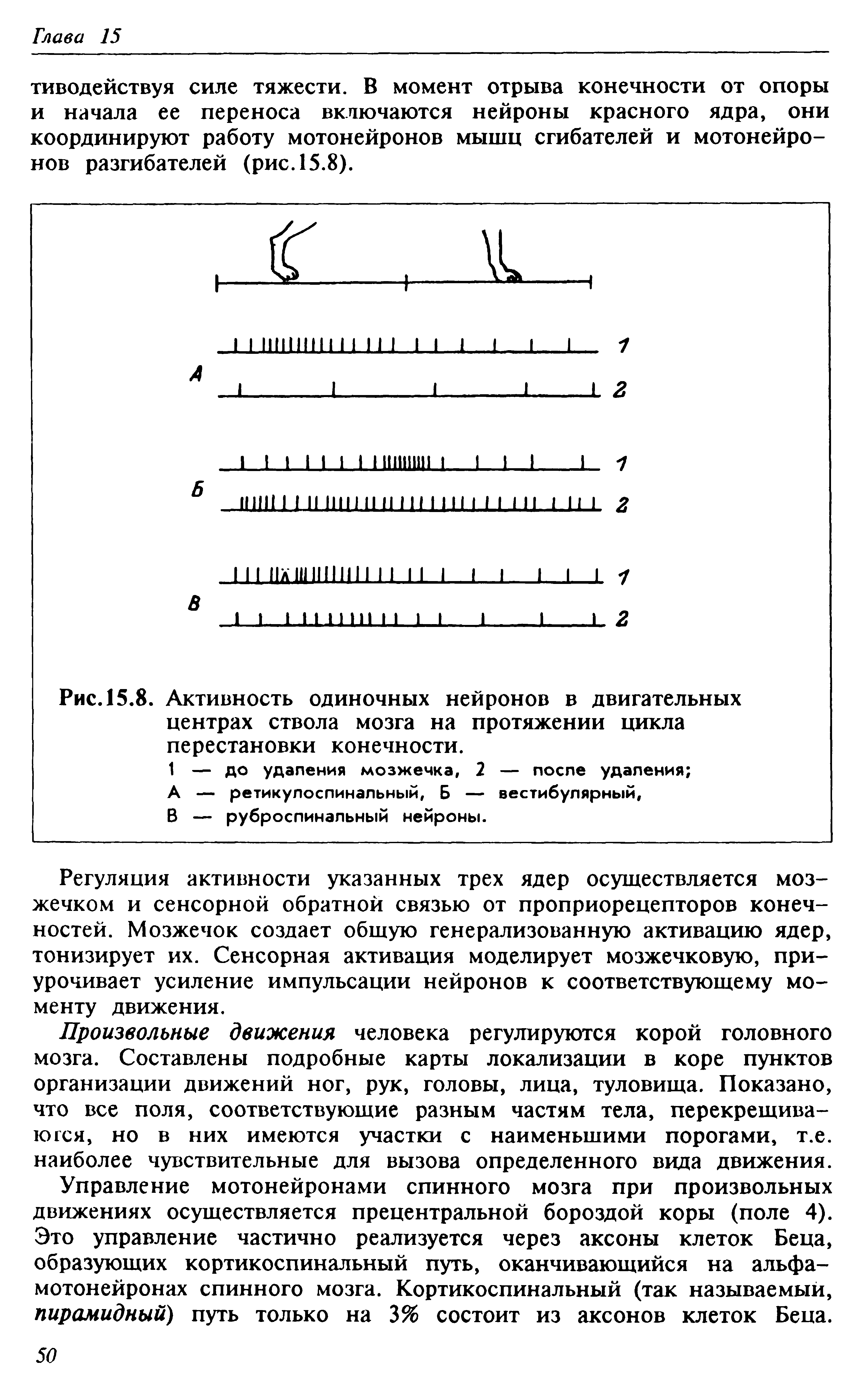 Рис. 15.8. Активность одиночных нейронов в двигательных центрах ствола мозга на протяжении цикла перестановки конечности.