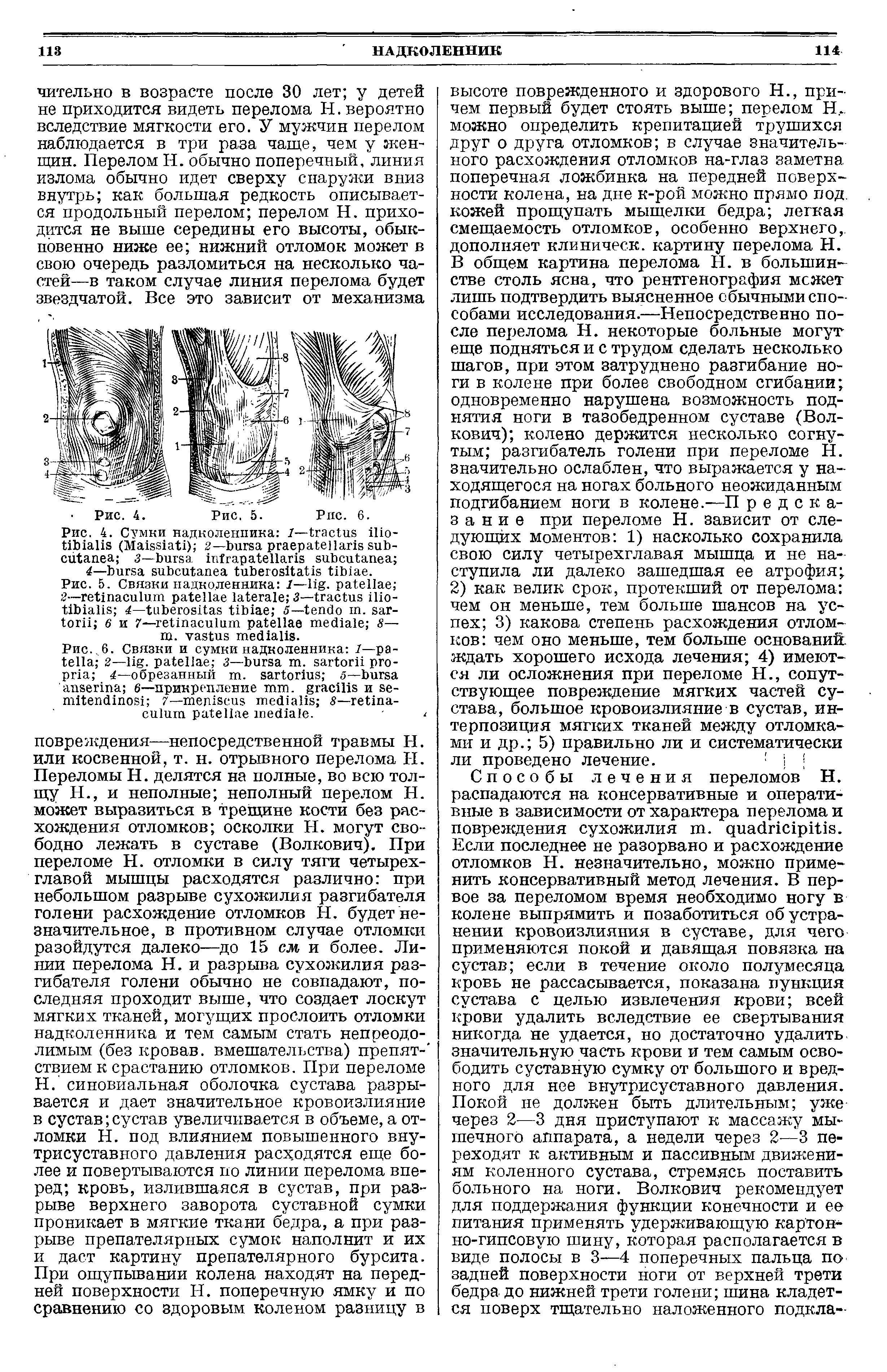 Рис., 6. Связки и сумки надколенника 1— 2— . 3— . 4—обрезанный . 5— 6—прикрепление . и - 7—- 8— . <...