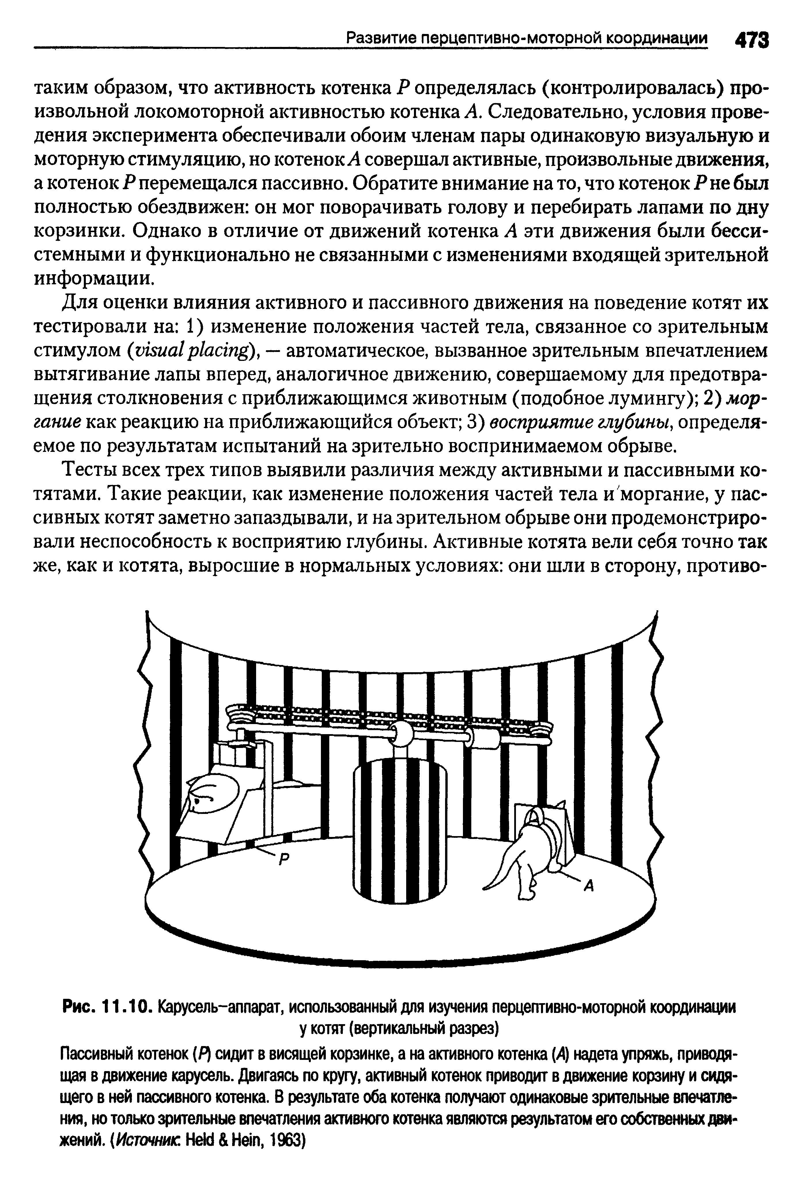 Рис. 11.10. Карусель-аппарат, использованный для изучения перцептивно-моторной координации у котят (вертикальный разрез)...