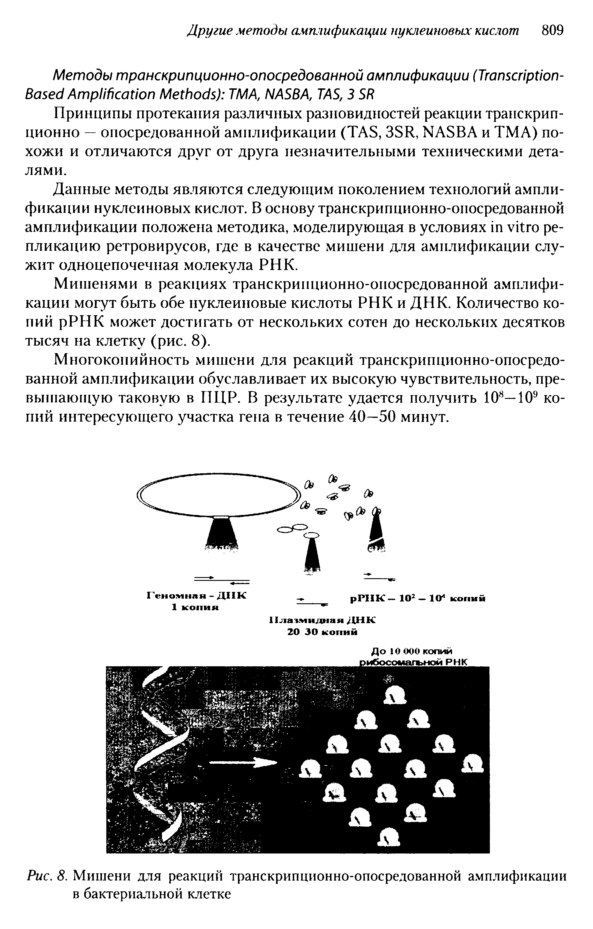 Рис. 8. Мишени для реакций транскрипционно-опосредованной амплификации в бактериальной клетке...