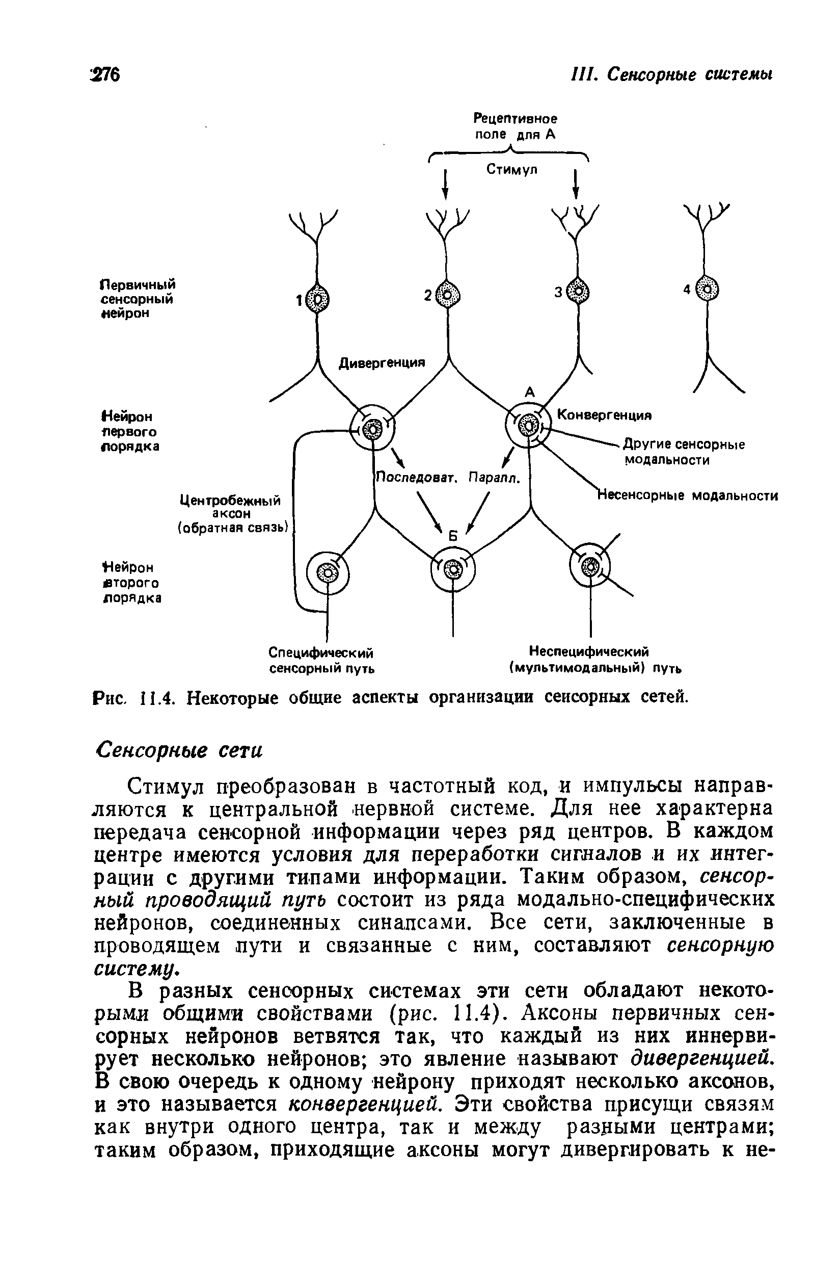 Рис. 11.4. Некоторые общие аспекты организации сенсорных сетей.