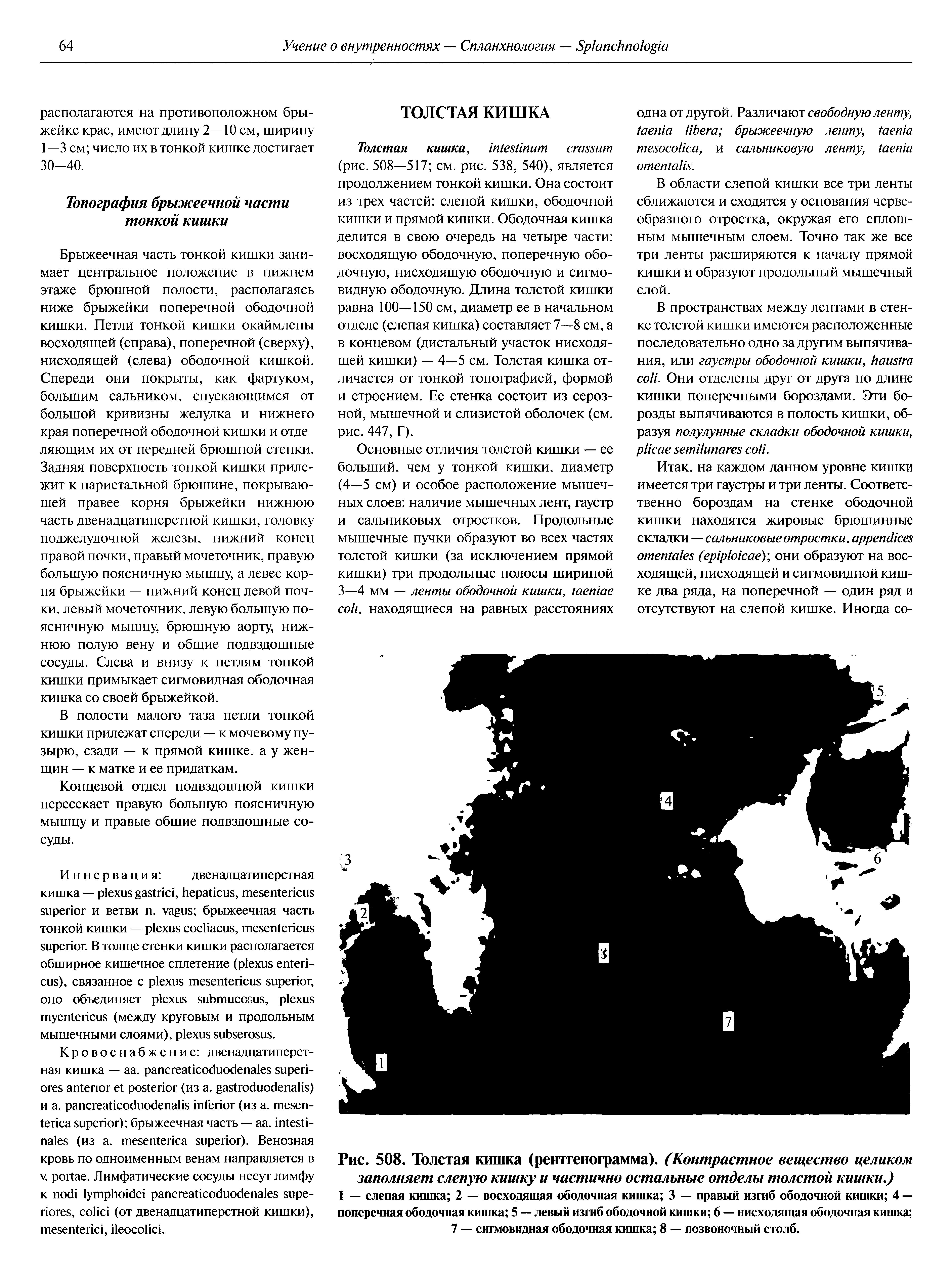 Рис. 508. Толстая кишка (рентгенограмма). (Контрастное вещество целиком заполняет слепую кишку и частично остальные отделы толстой кишки.)...