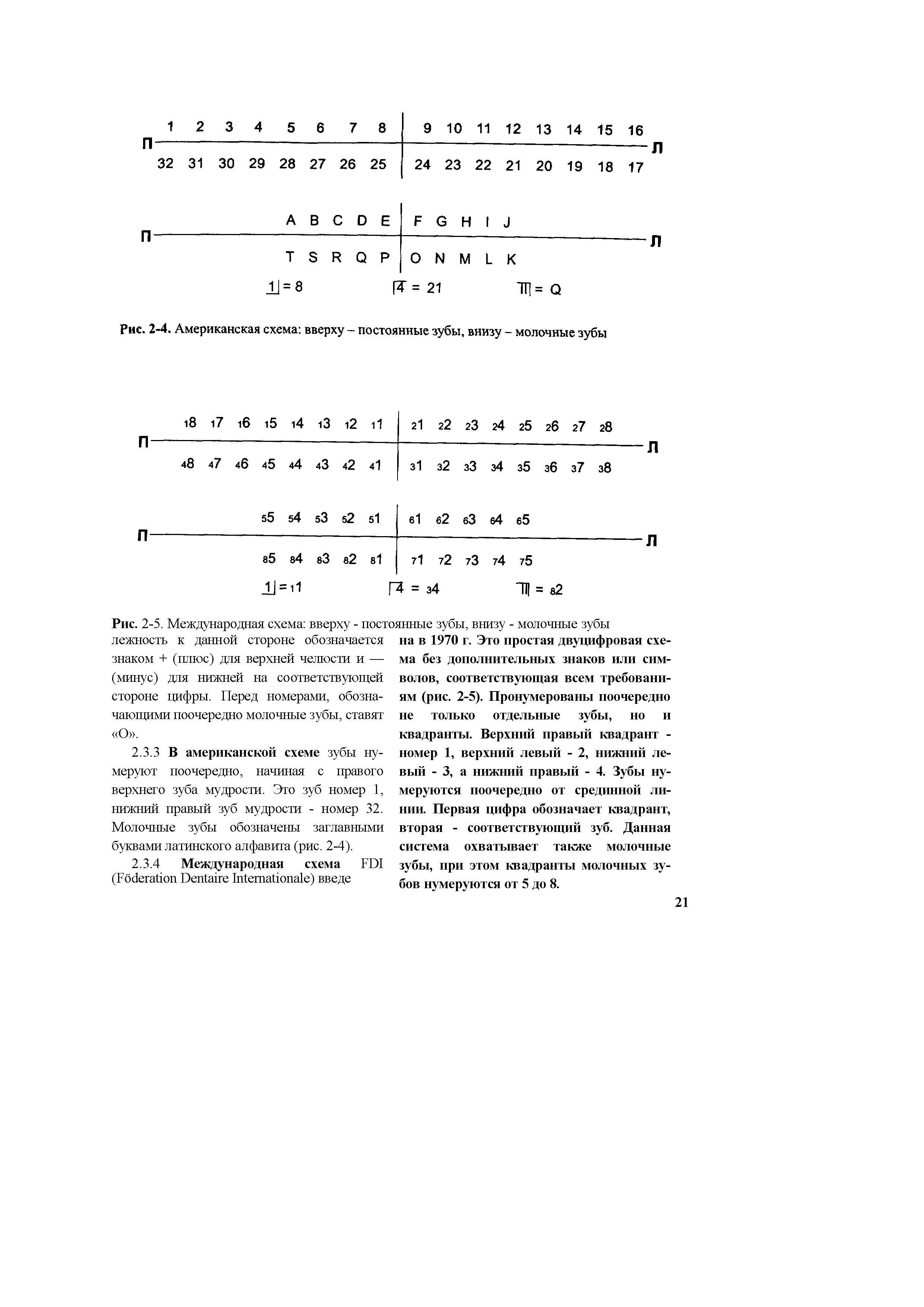 Рис. 2-5. Международная схема вверху - постоянные зубы, внизу - молочные зубы...