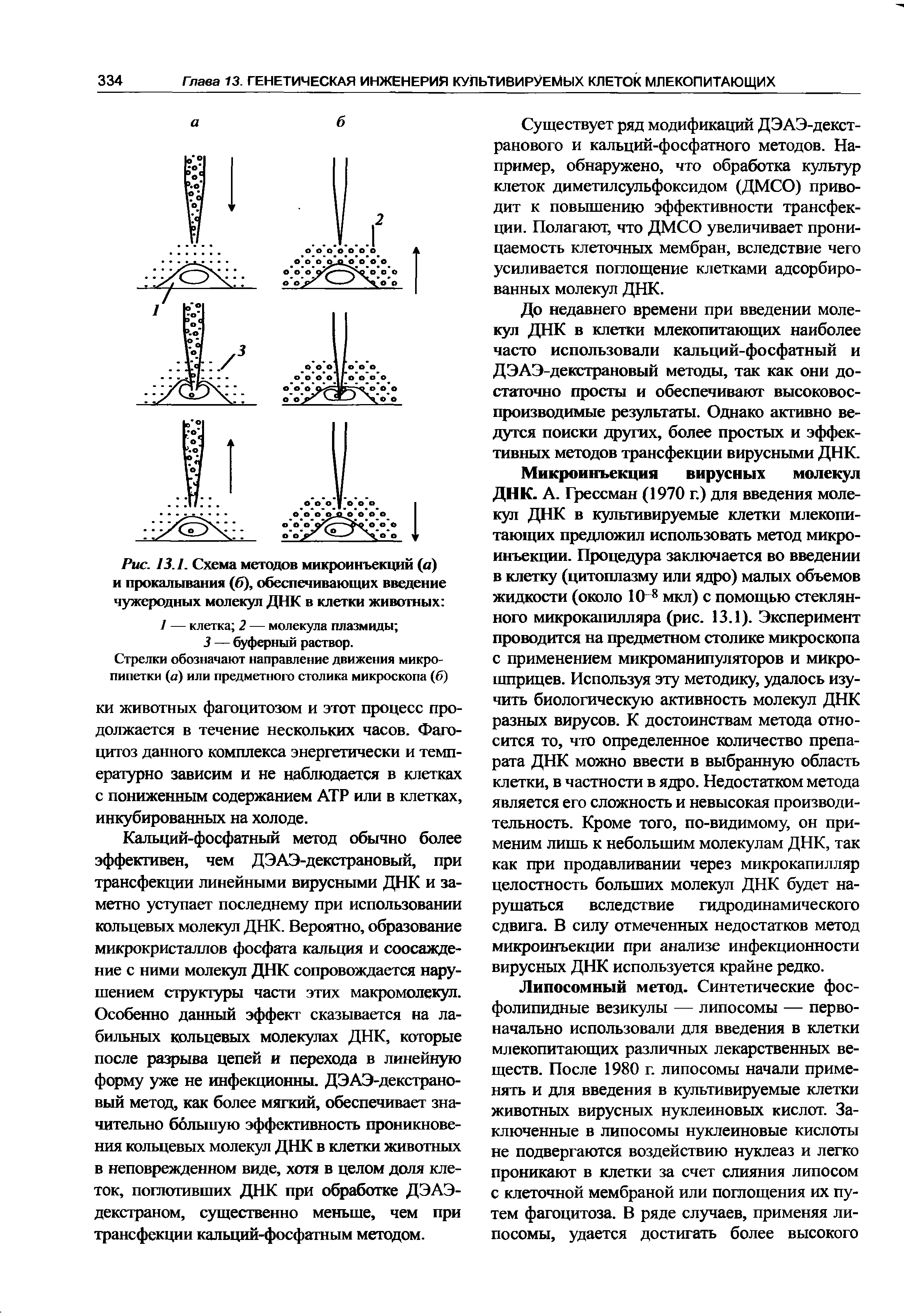 Рис. 13.1. Схема методов микроинъекций (а) и прокалывания (б), обеспечивающих введение чужеродных молекул ДНК в клетки животных ...