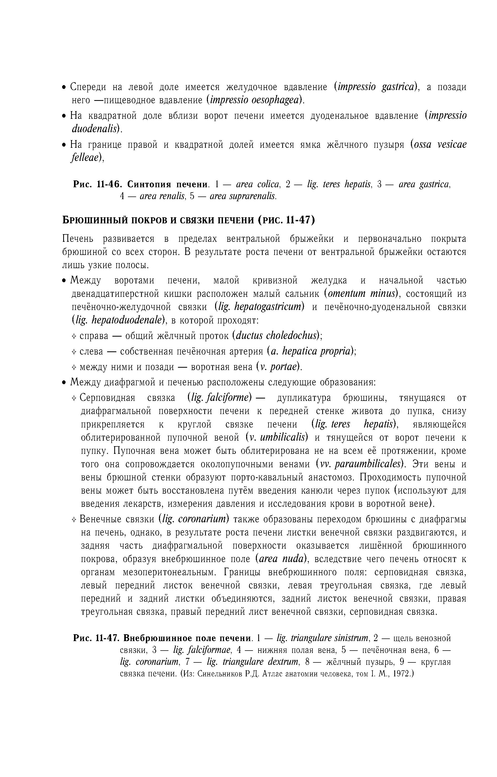 Рис. 11-47. Внебрюшинное поле печени. 1 — . , 2 — щель венозной связки, 3 — . , 4 — нижняя полая вена, 5 — печёночная вена, 6 — . , 7 — . , 8 — жёлчный пузырь, 9 — круглая связка печени. (Из Синельников Р.Д. Атлас анатомии человека, том I. М., 1972.)...