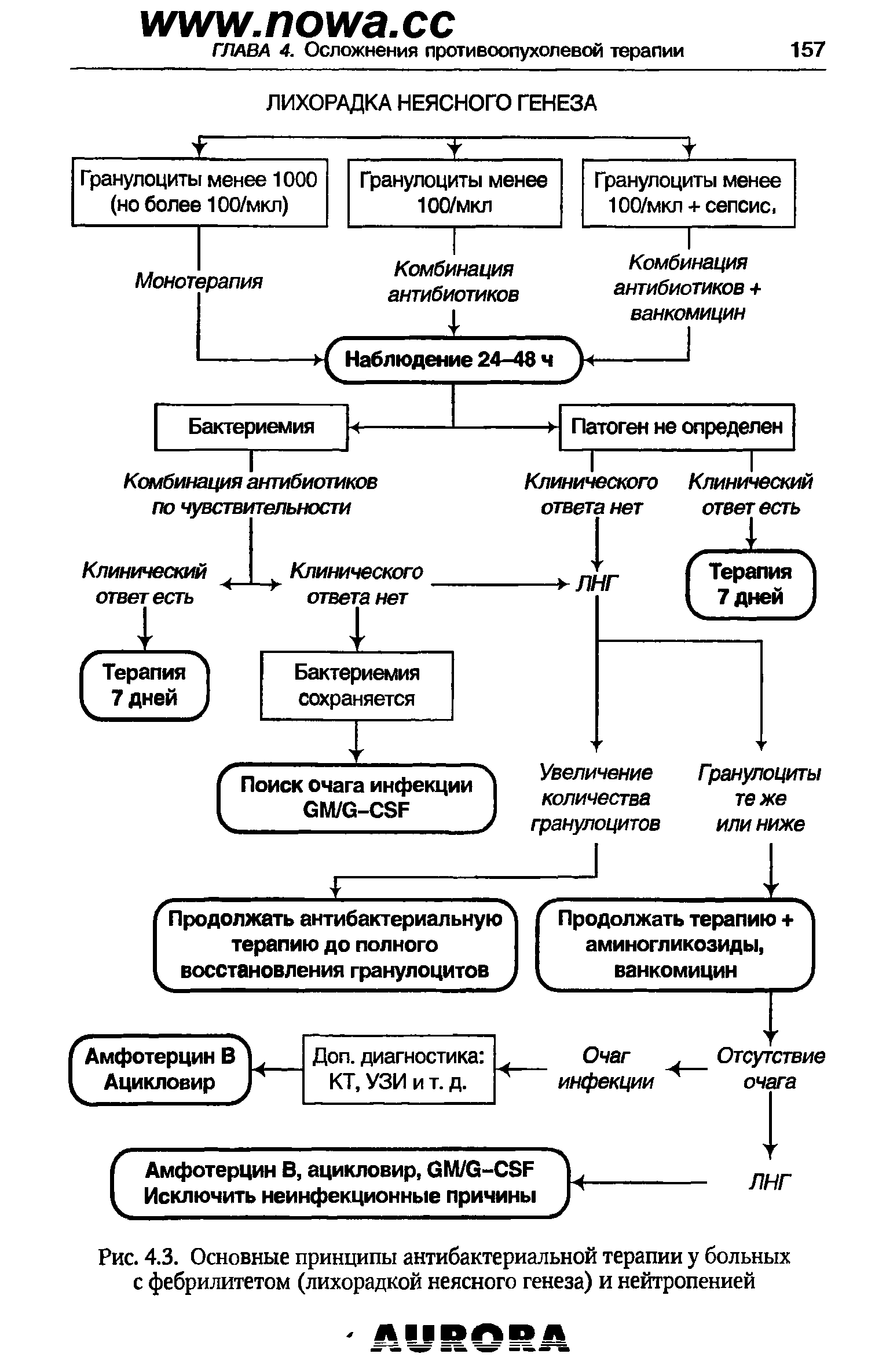 Рис. 4.3. Основные принципы антибактериальной терапии у больных с фебрилитетом (лихорадкой неясного генеза) и нейтропенией...